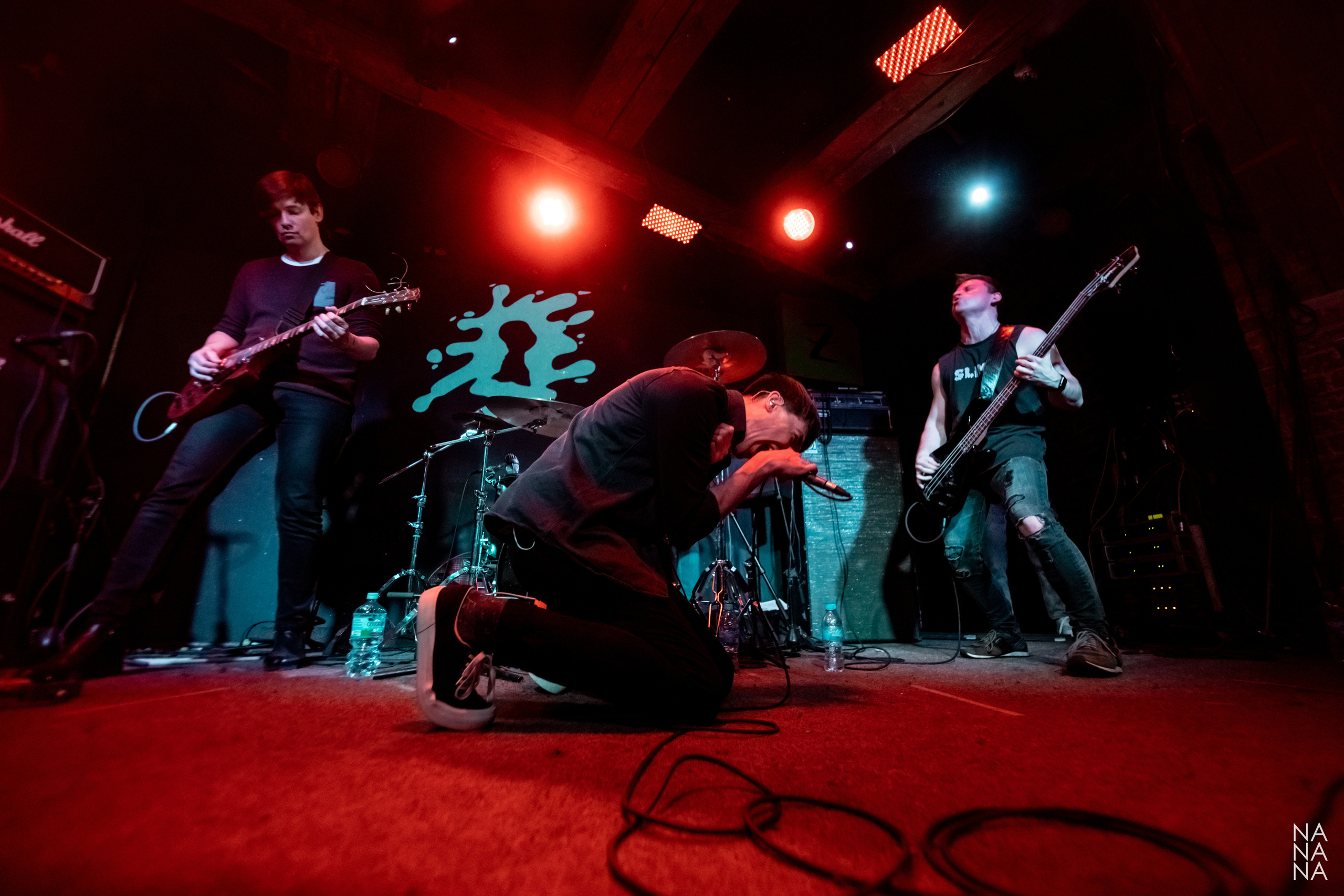 НАКОНЕЧНЫЙ. Фотограф Елена Богачева (lenalena_na_na_na)