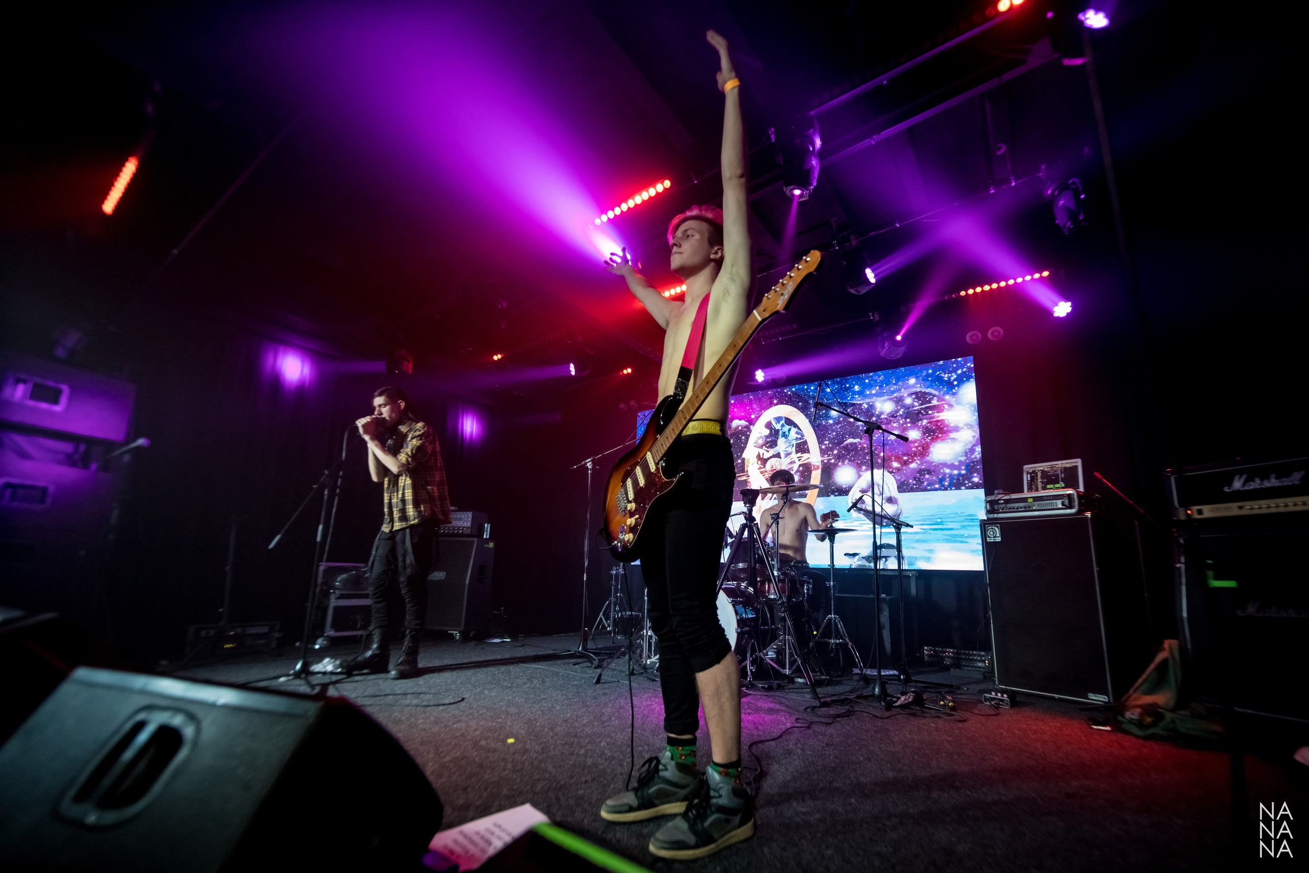 PINK HORSE. Фотограф Елена Богачева (lenalena_na_na_na)