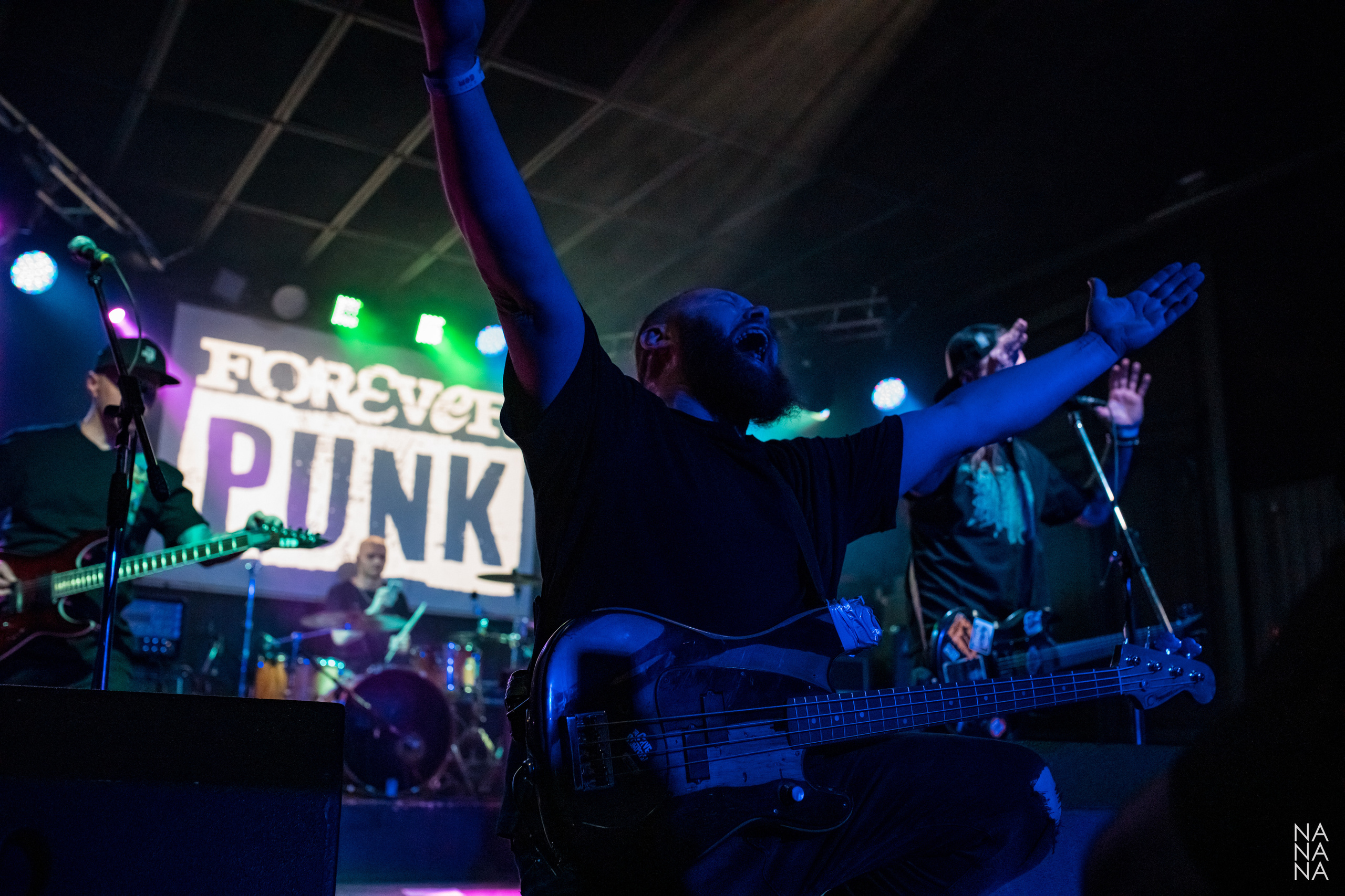 FOREVER PUNK FEST. Фотограф Елена Богачева (lenalena_na_na_na)