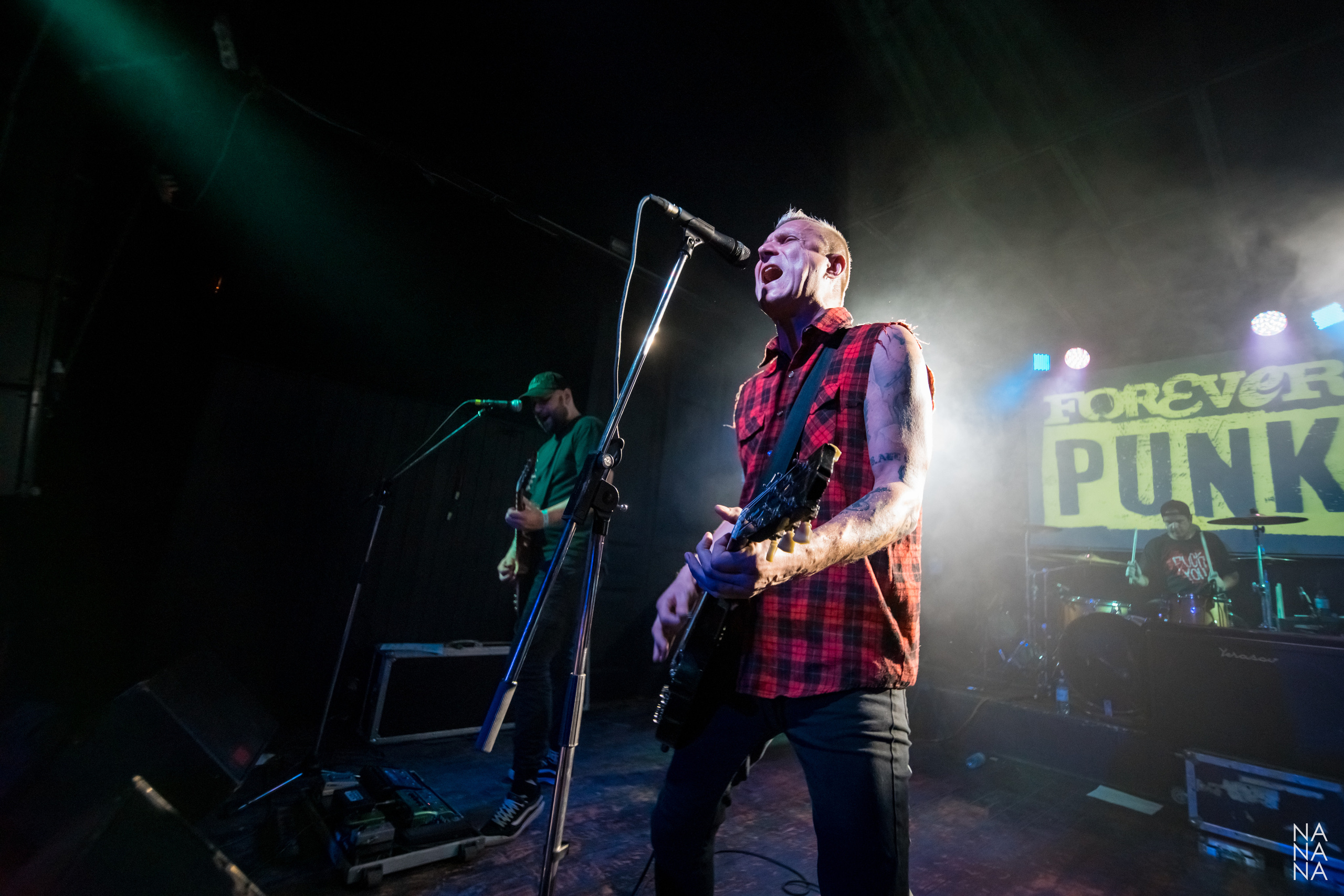 FOREVER PUNK FEST. Фотограф Елена Богачева (lenalena_na_na_na)