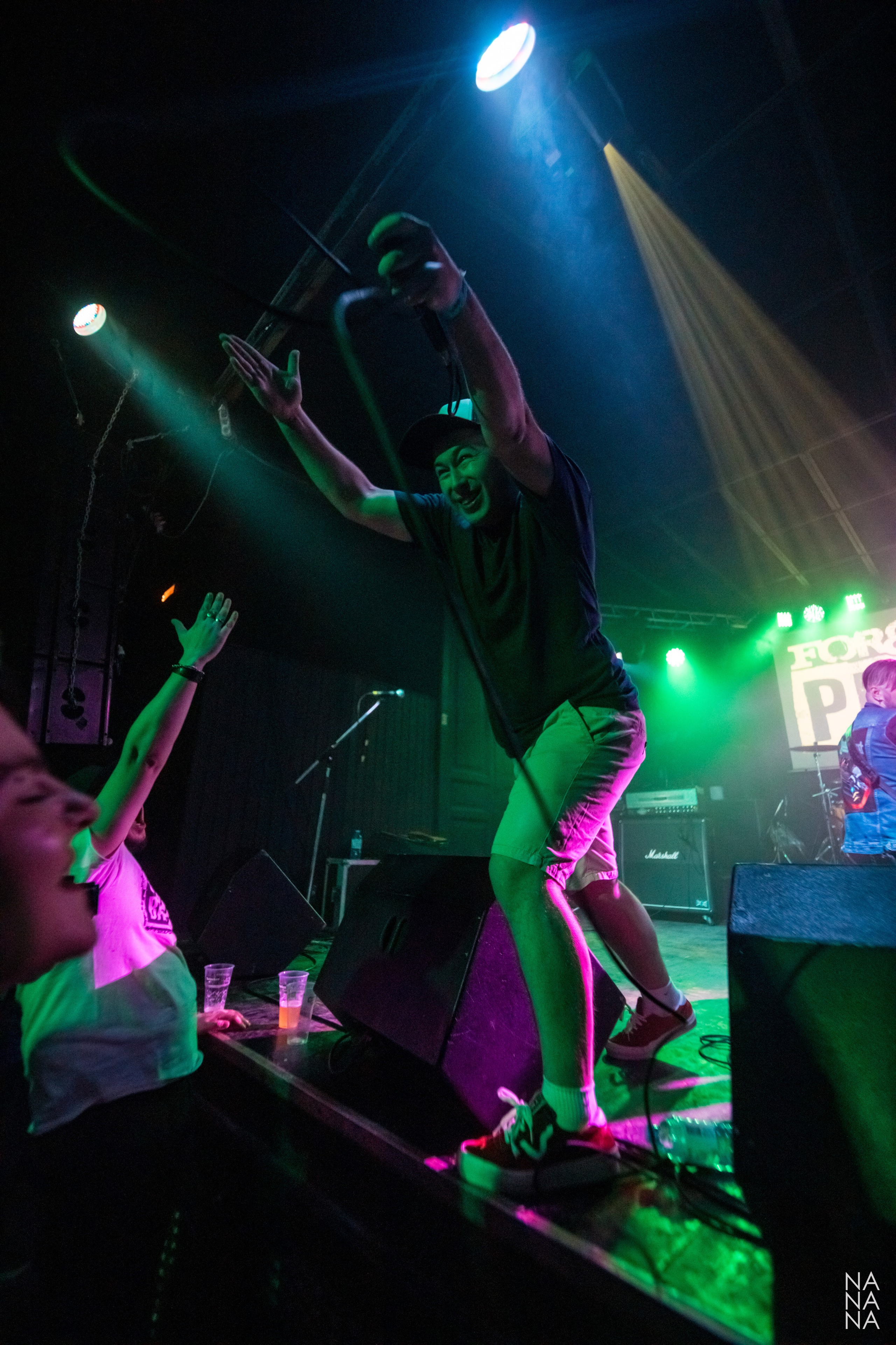 FOREVER PUNK FEST. Фотограф Елена Богачева (lenalena_na_na_na)