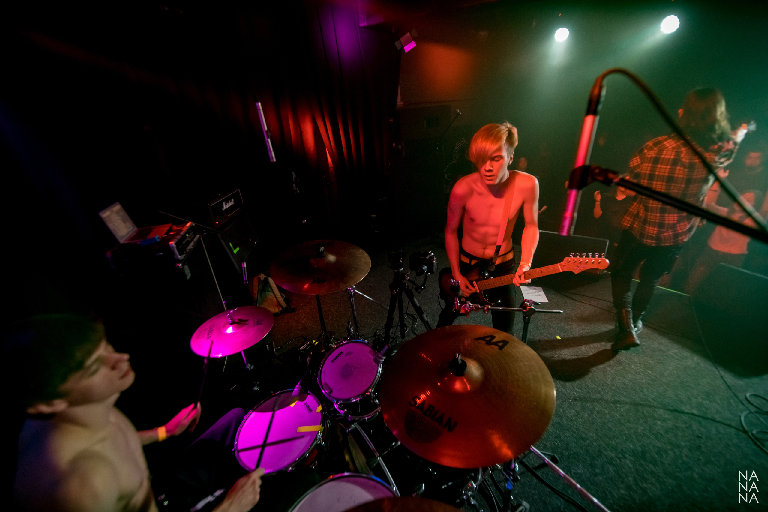 PINK HORSE. Фотограф Елена Богачева (lenalena_na_na_na)