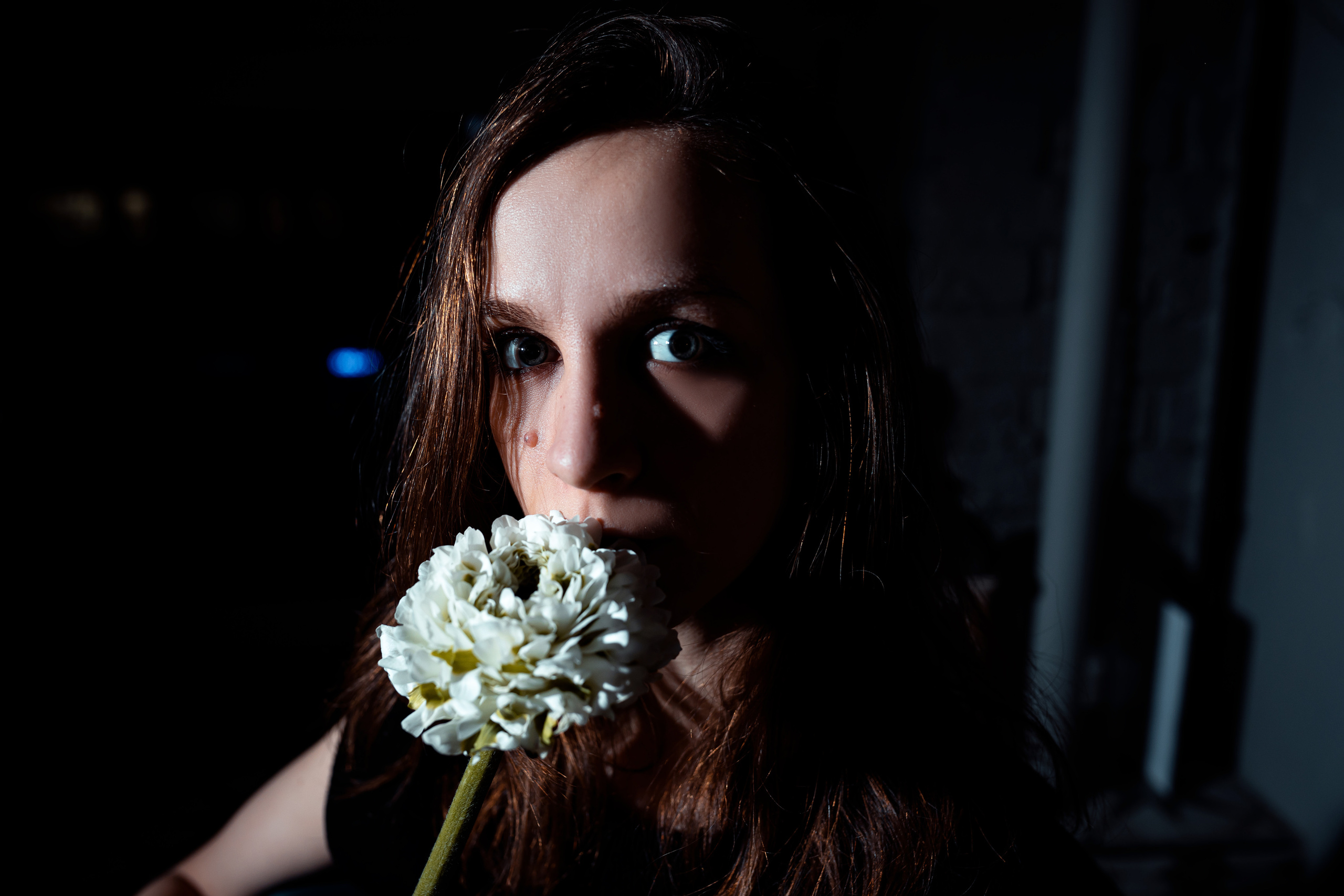 ВАСИЛИСА. Фотограф Елена Богачева (lenalena_na_na_na)