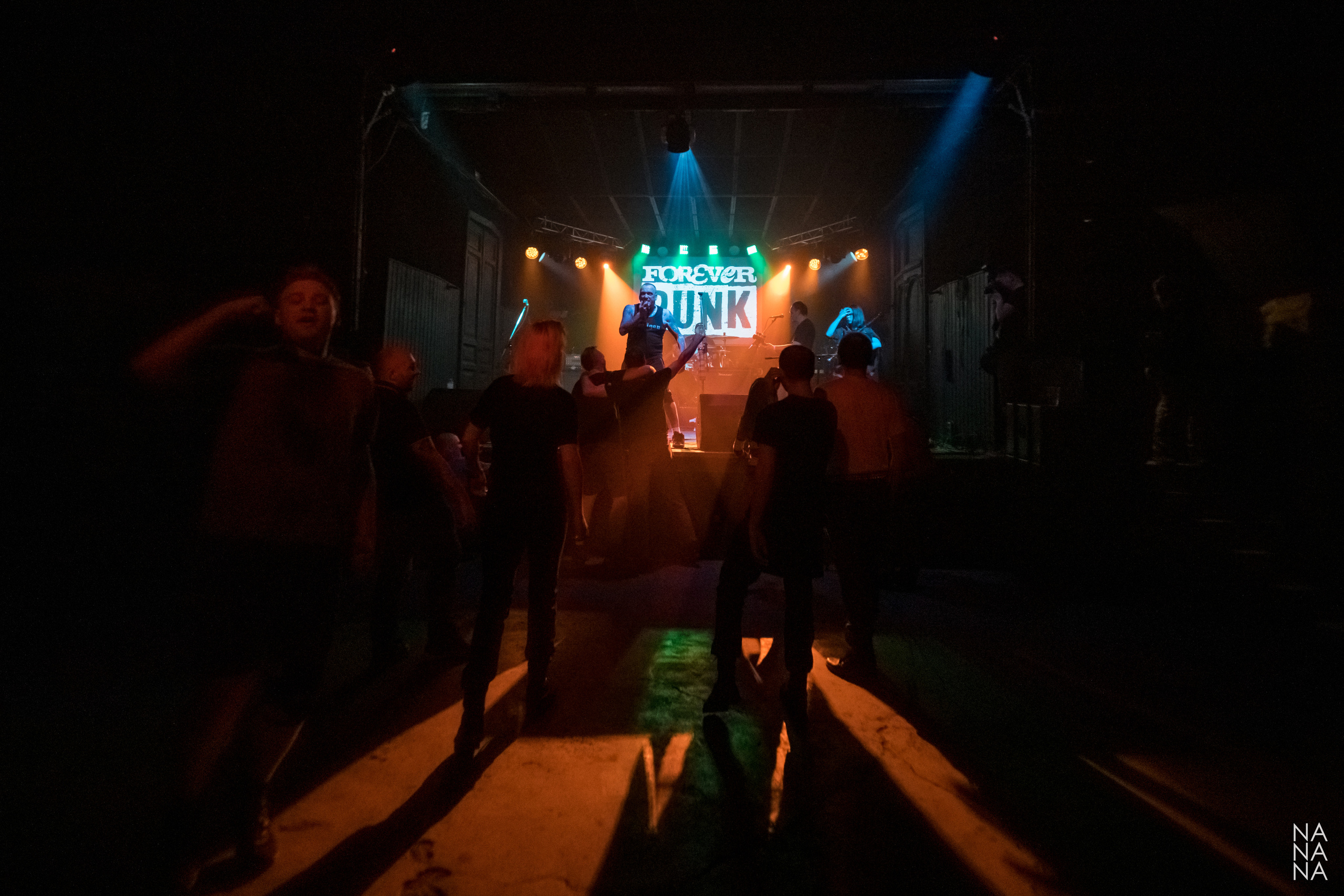 FOREVER PUNK FEST. Фотограф Елена Богачева (lenalena_na_na_na)