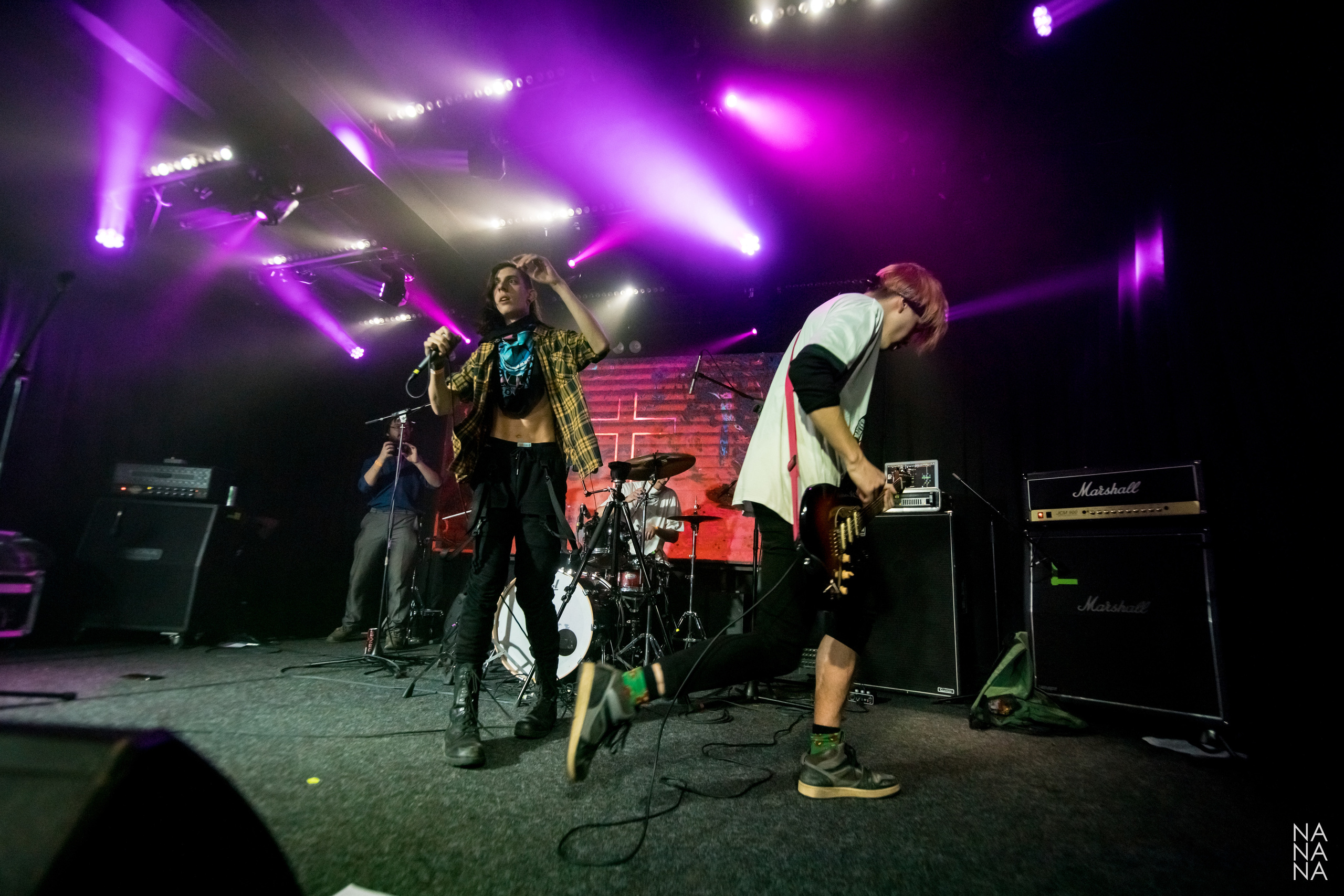 PINK HORSE. Фотограф Елена Богачева (lenalena_na_na_na)