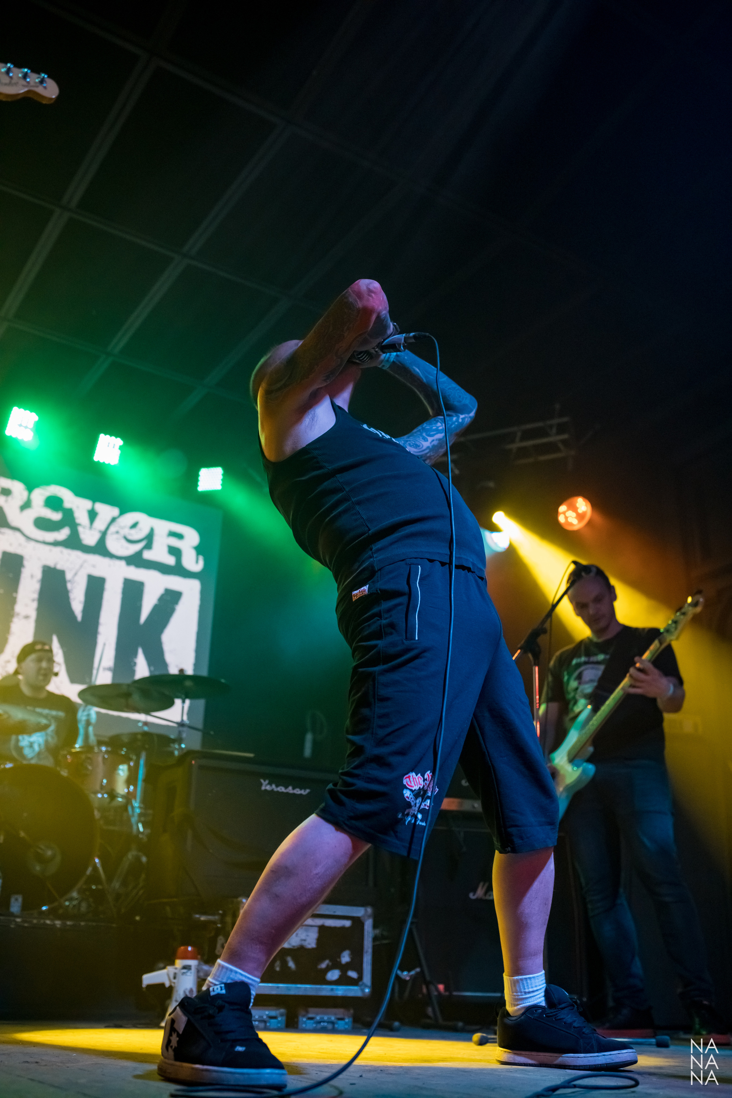 FOREVER PUNK FEST. Фотограф Елена Богачева (lenalena_na_na_na)