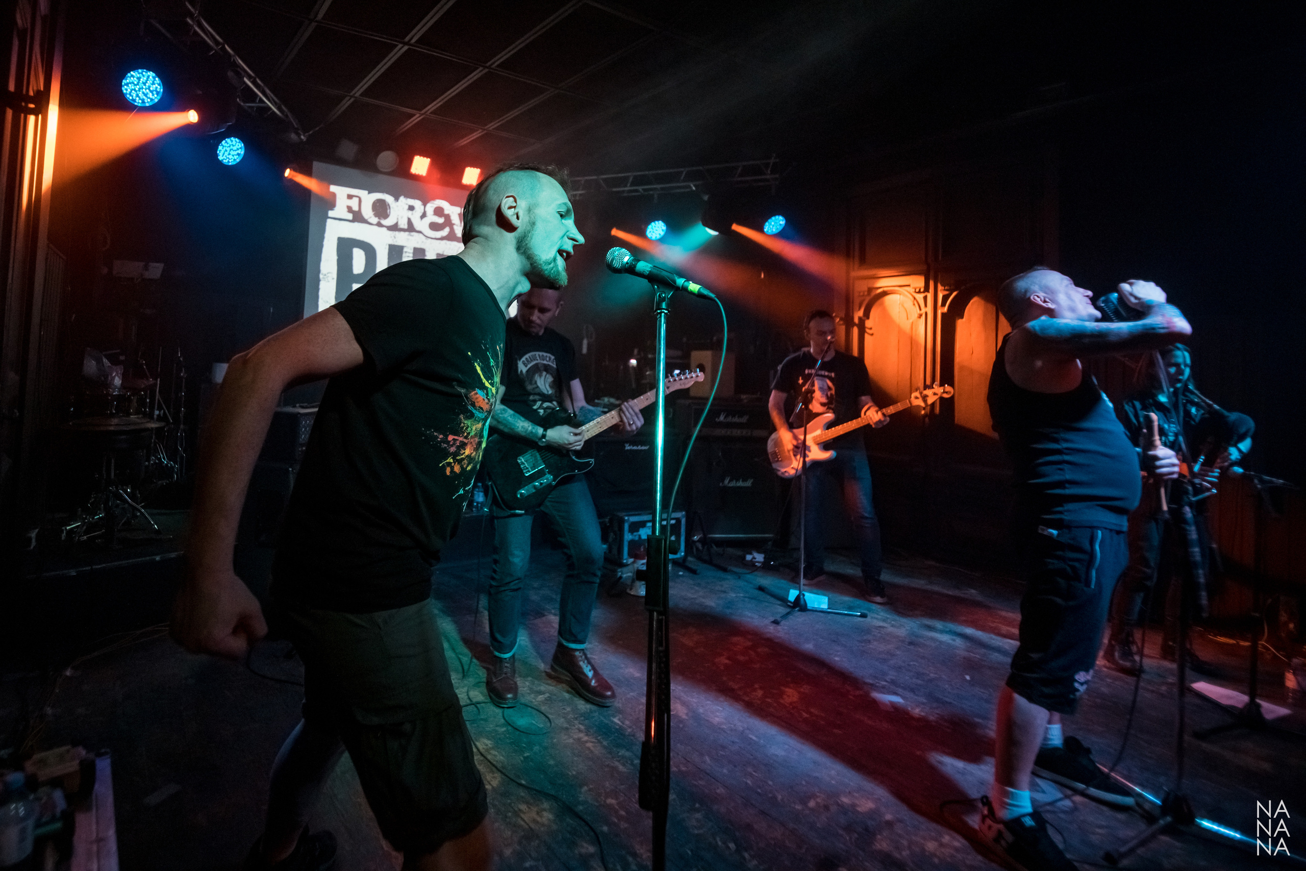 FOREVER PUNK FEST. Фотограф Елена Богачева (lenalena_na_na_na)