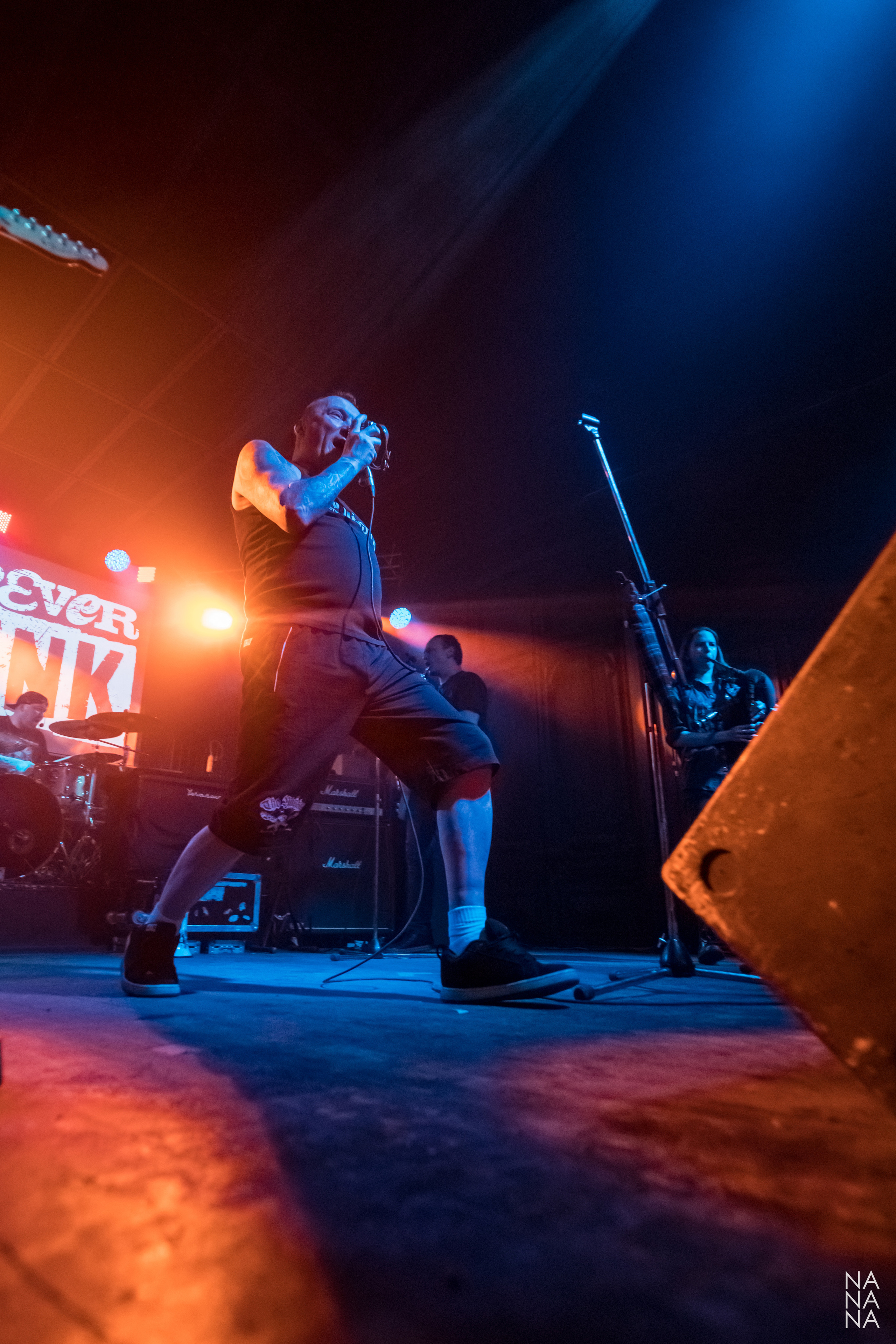 FOREVER PUNK FEST. Фотограф Елена Богачева (lenalena_na_na_na)