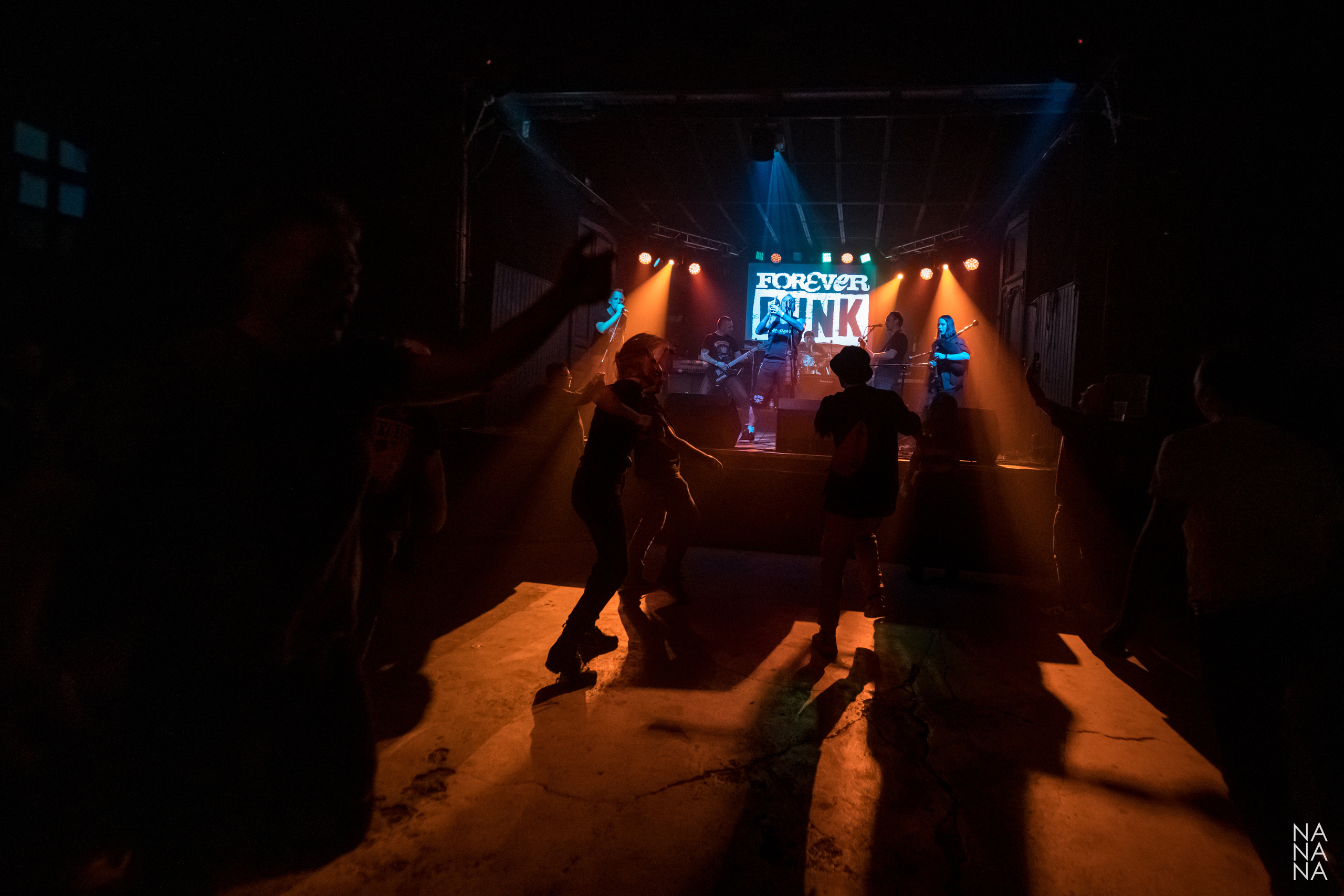 FOREVER PUNK FEST. Фотограф Елена Богачева (lenalena_na_na_na)