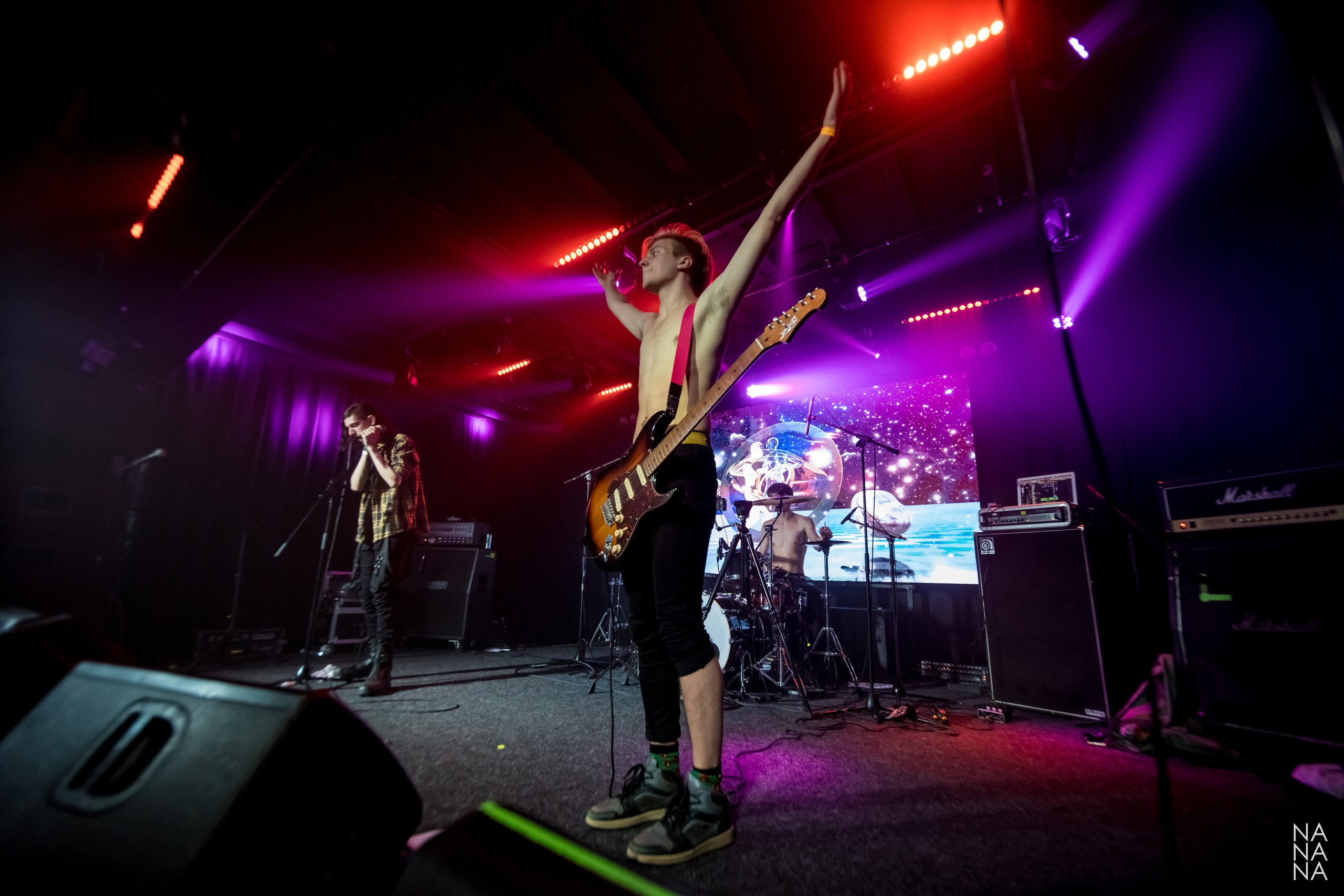 PINK HORSE. Фотограф Елена Богачева (lenalena_na_na_na)