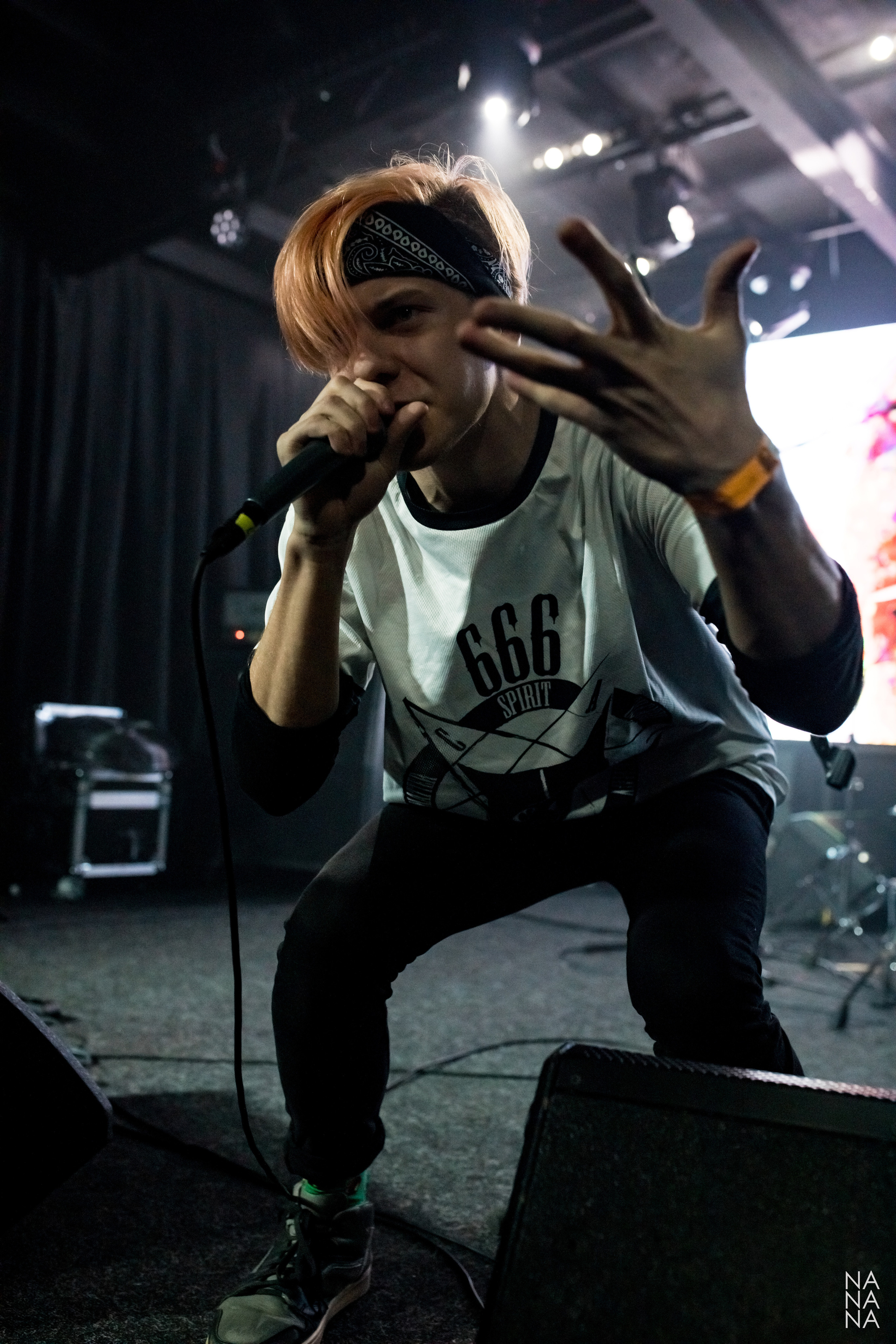 PINK HORSE. Фотограф Елена Богачева (lenalena_na_na_na)