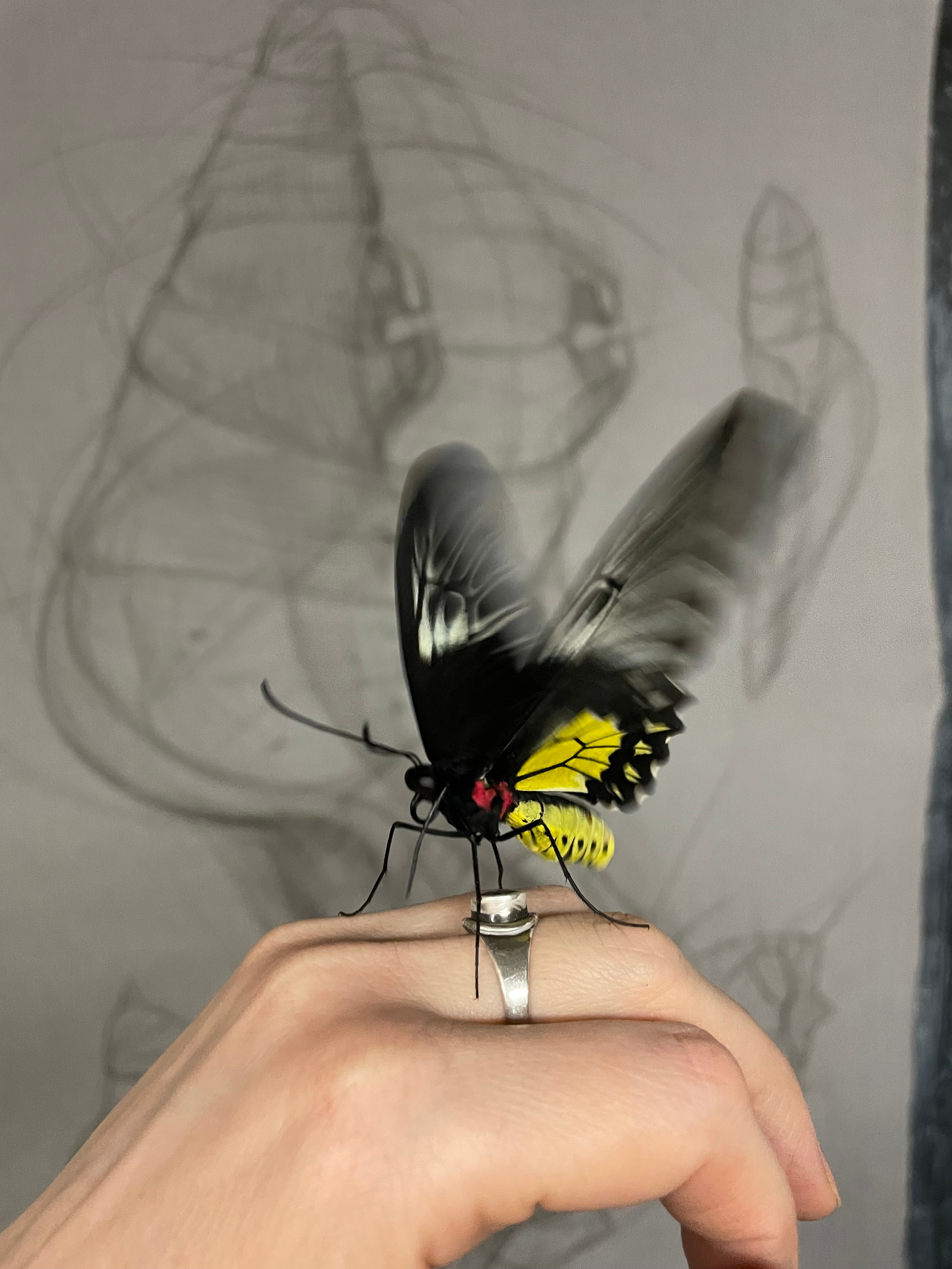 Chrysalis _2024. Художник — скульптор Антонина Фатхуллина