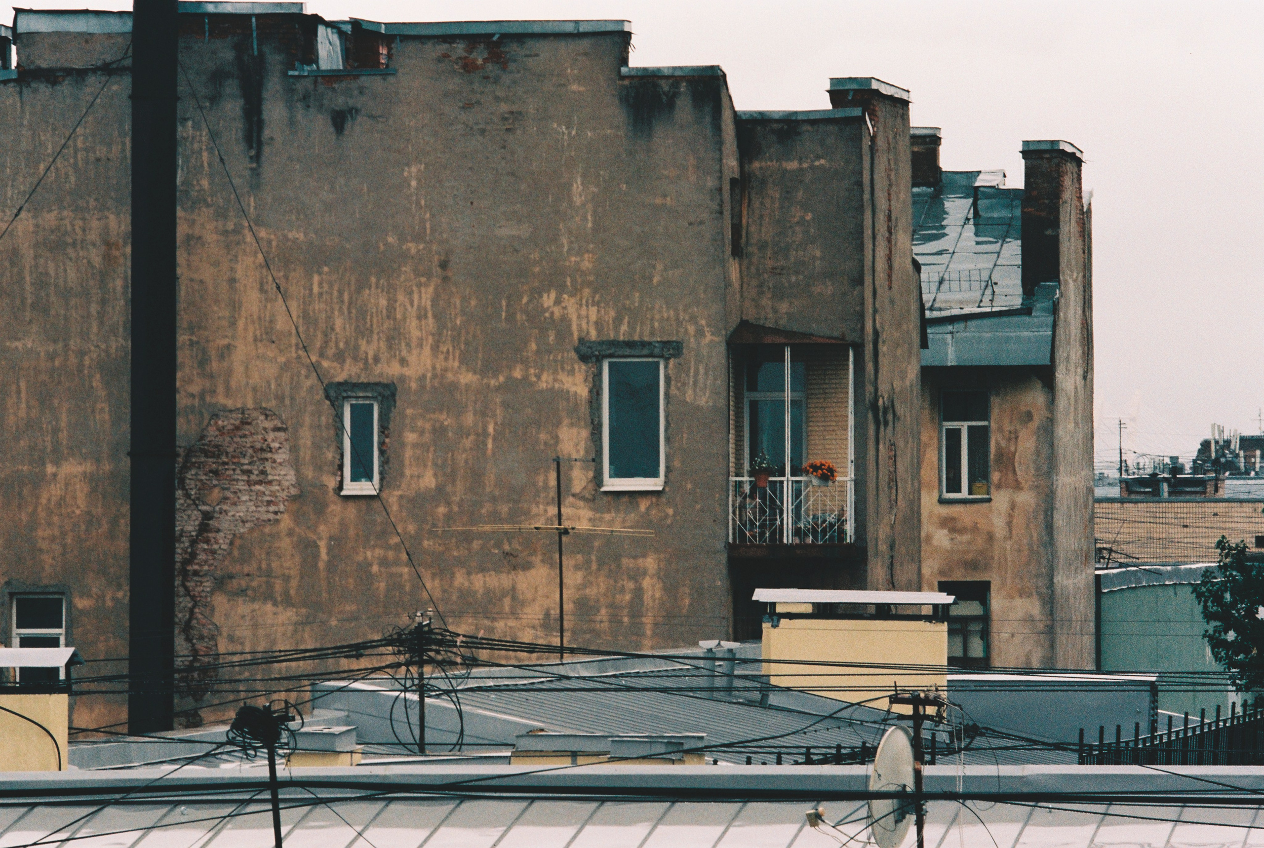 Фотографии цветные. Свадебный и семейный пленочный фотограф в Петербурге Истомина Ирина