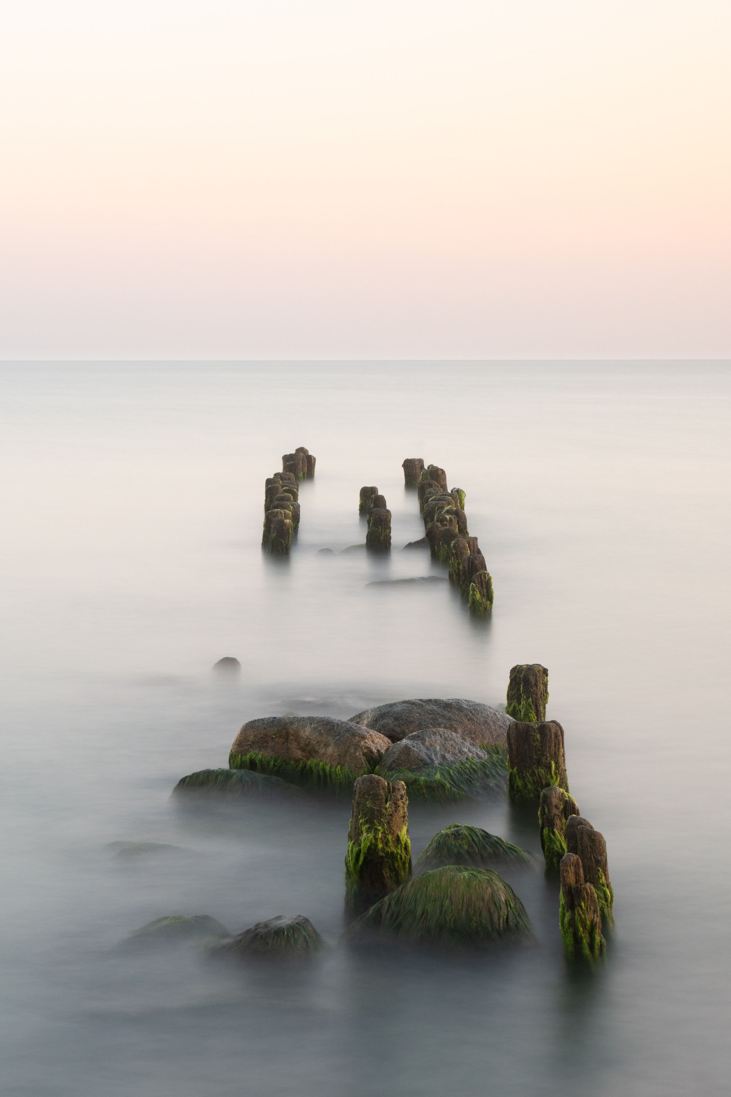 Портфолио. Daria wanderer photography