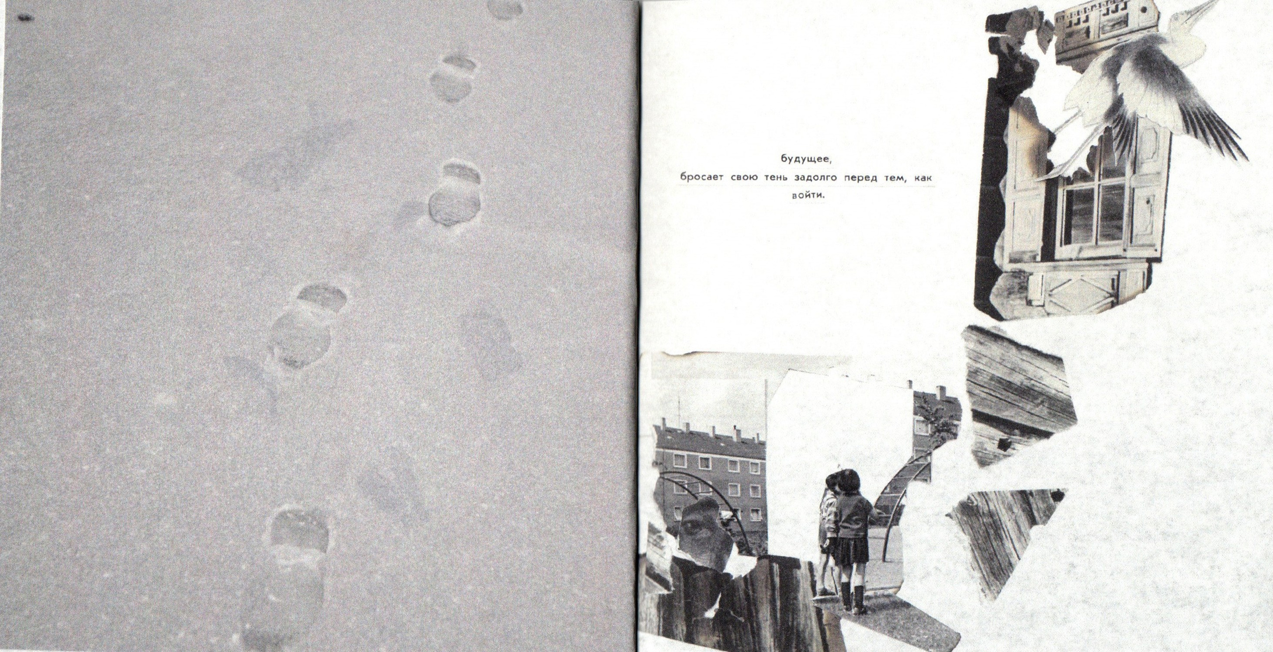 Деревья, которые дают сил. Фотограф Анна Кирнос