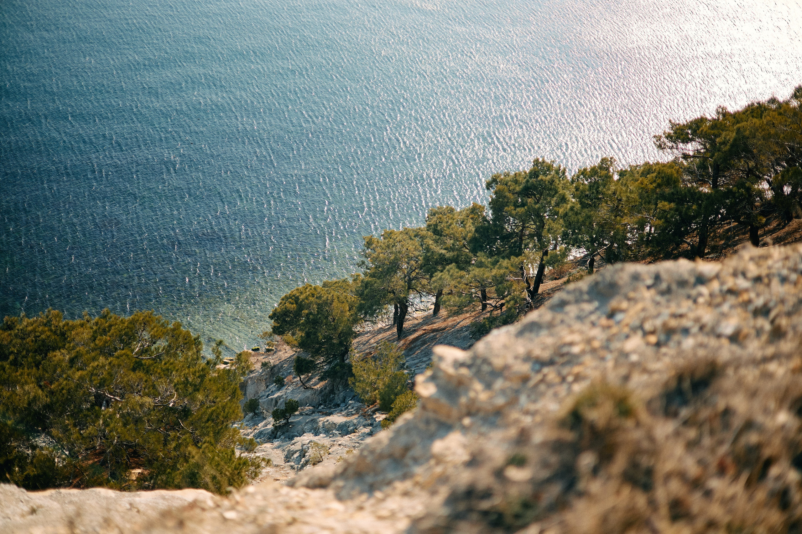 Юг России. Профессиональный Фотограф во Владимире, в Москве и в Суздале — Полина Романычева