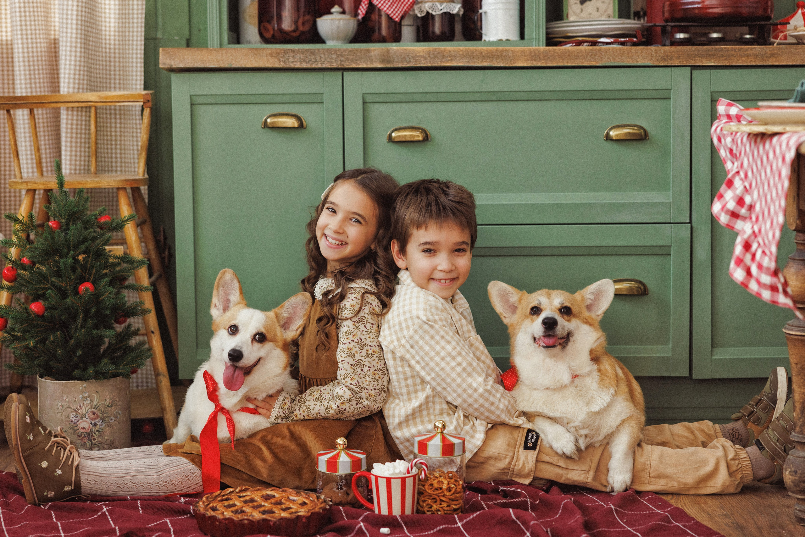 Новогодняя фотосессия с собачками породы Корги, город Краснодар. Семейный и детский фотограф в Краснодаре Анна Трашкова