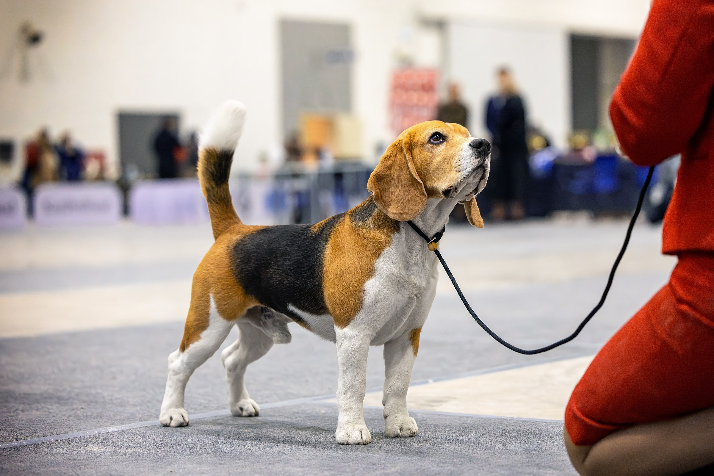 3–4 мая 2025, Казахстан, г. Астана. Htykk_photo