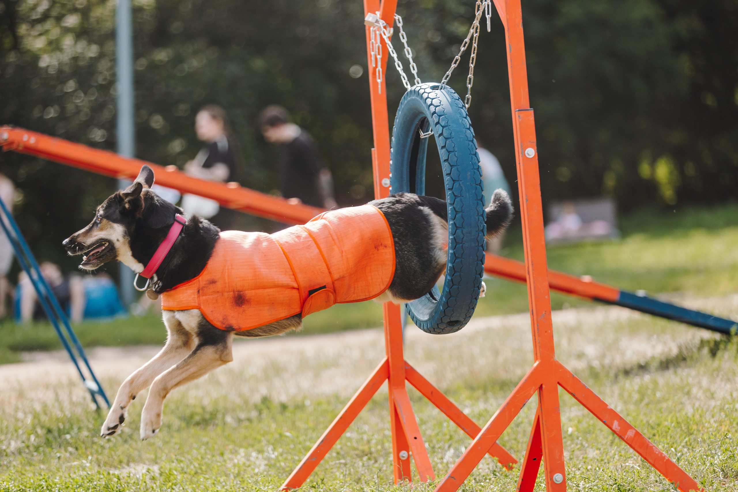 Petshop Sup day. Фотограф анималист Кристина Карпова, Москва