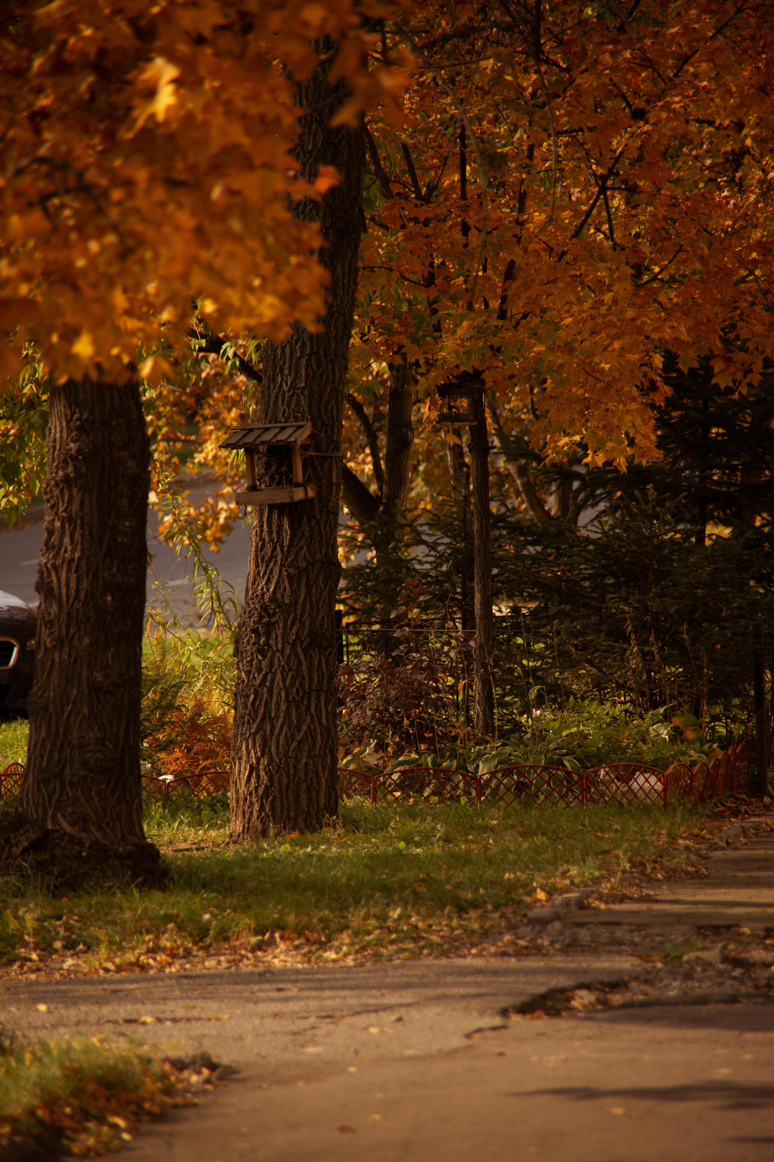 Природа. Darinishna Фэнтези-фотограф Хабаровск