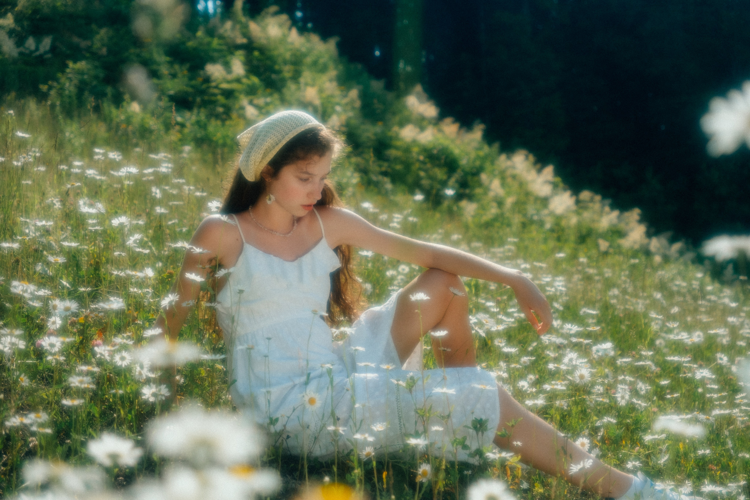 Ромашковые вершины. Репортажный фотограф в Сочи Екатерина Вежливцева