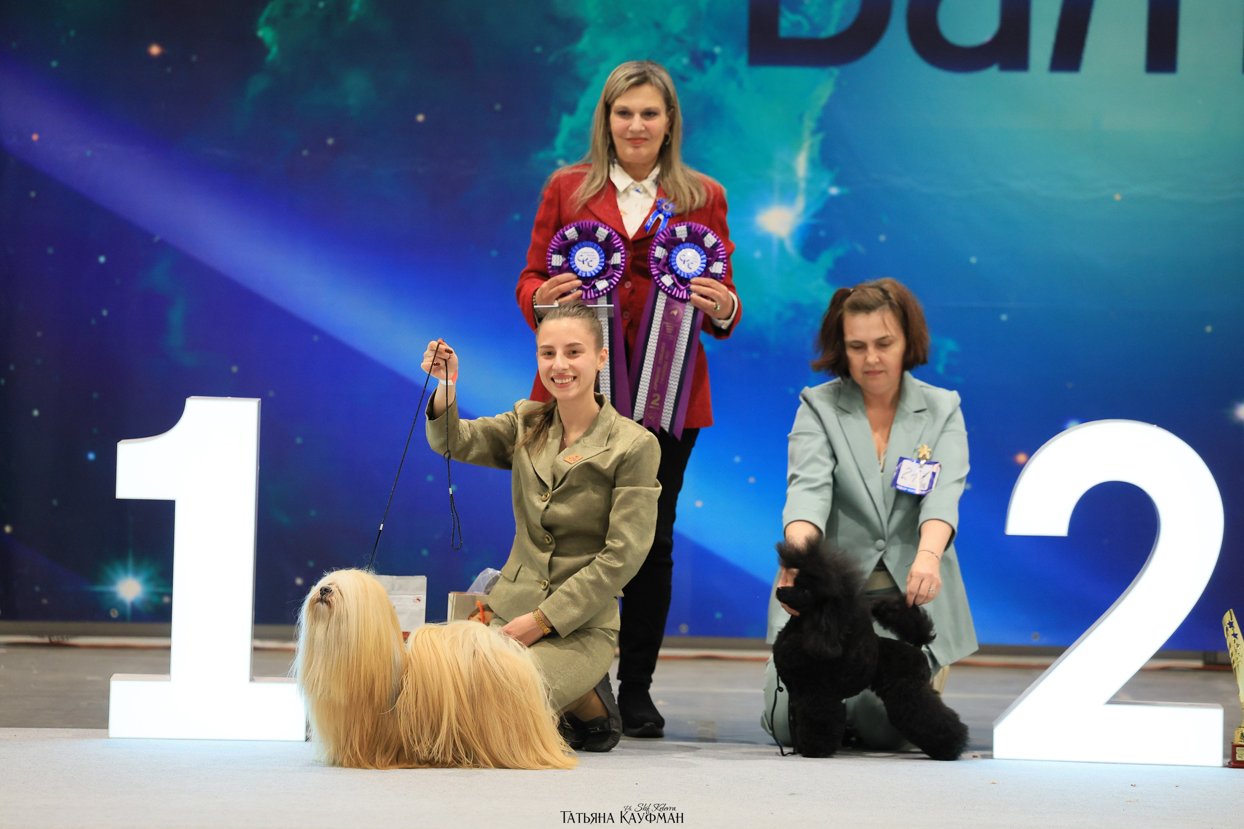 28-29.03.2026 Рейтинговая выставка в Новосибирске. Фотограф Анималист из Новосибирска Татьяна Кауфман