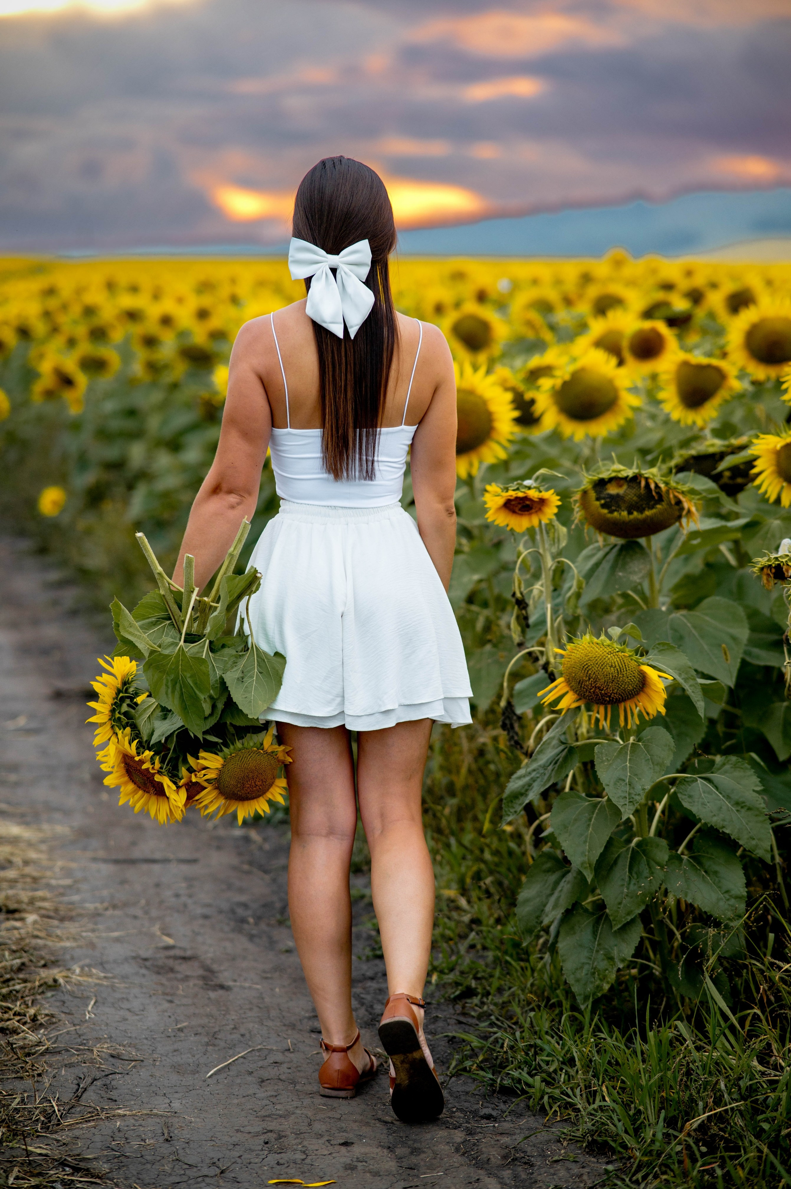 Подсолнуховое поле. Семейный и свадебный фотограф в Абакане Юлия Су