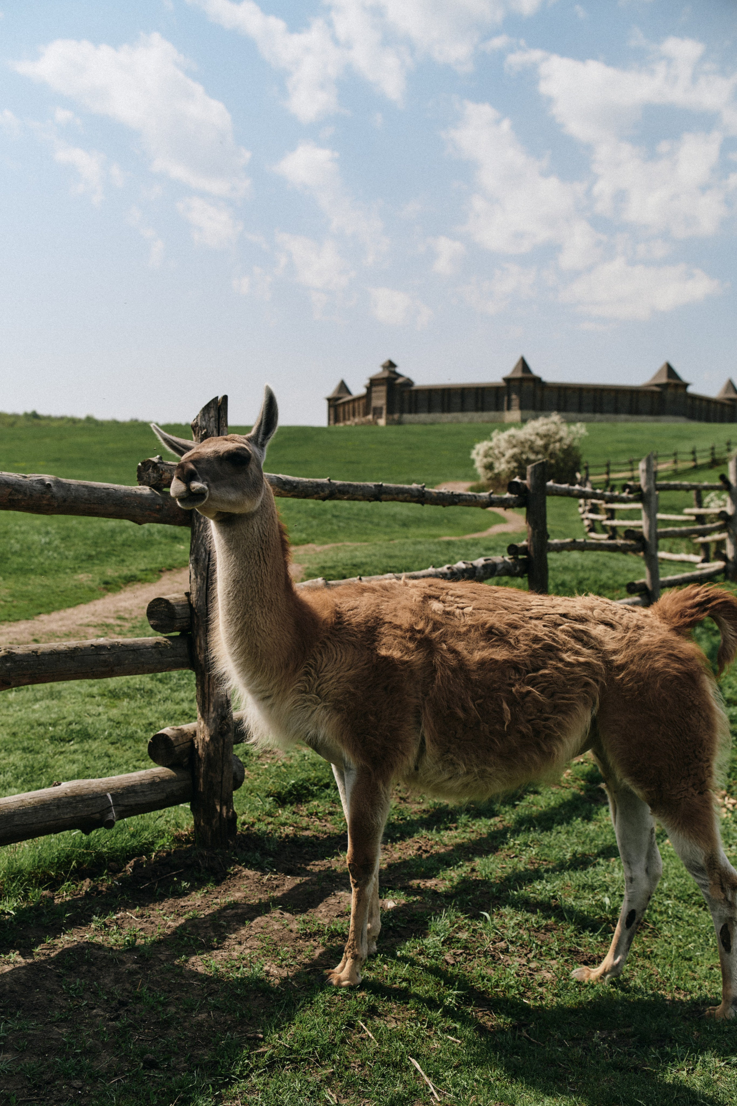 BAON x Кудыкина Гора. Фотограф Сурков Никита