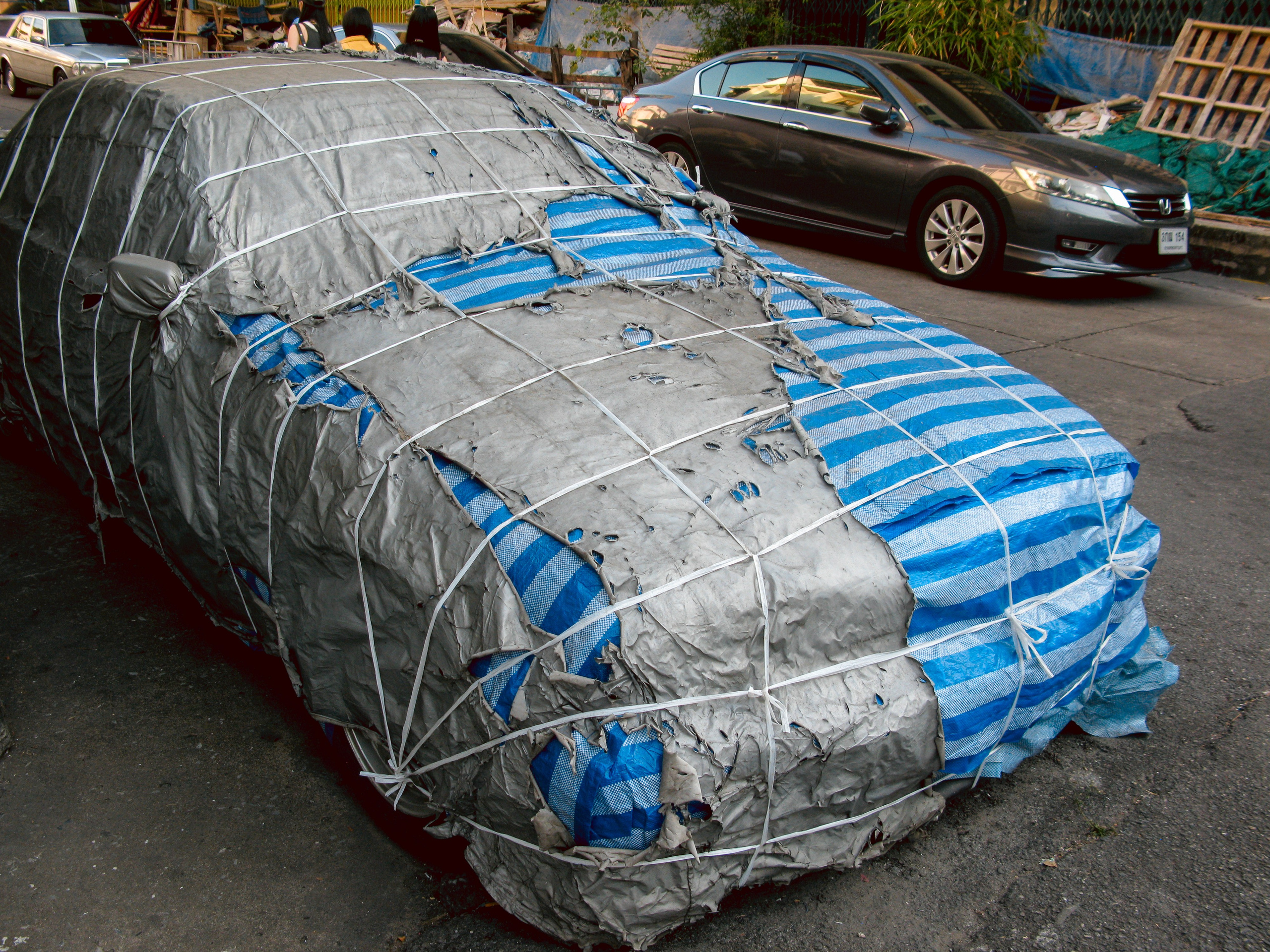 Thai. Фотограф Миланазавр