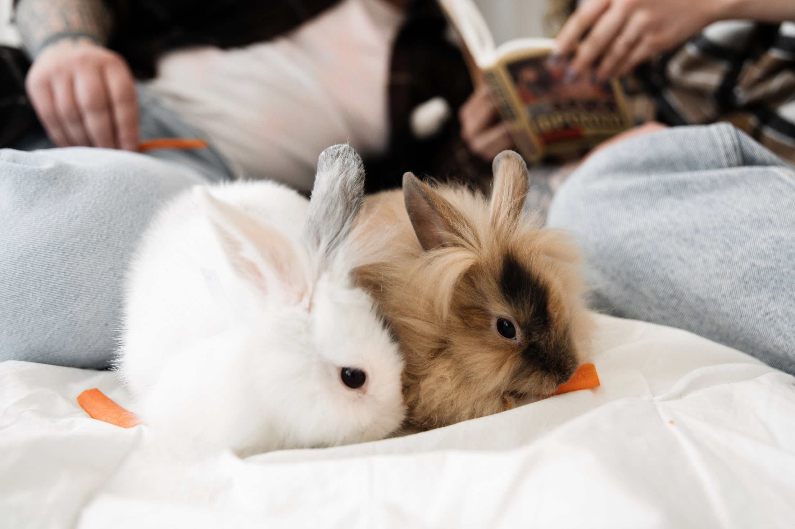 I&V. Фотограф Кирилл Верт