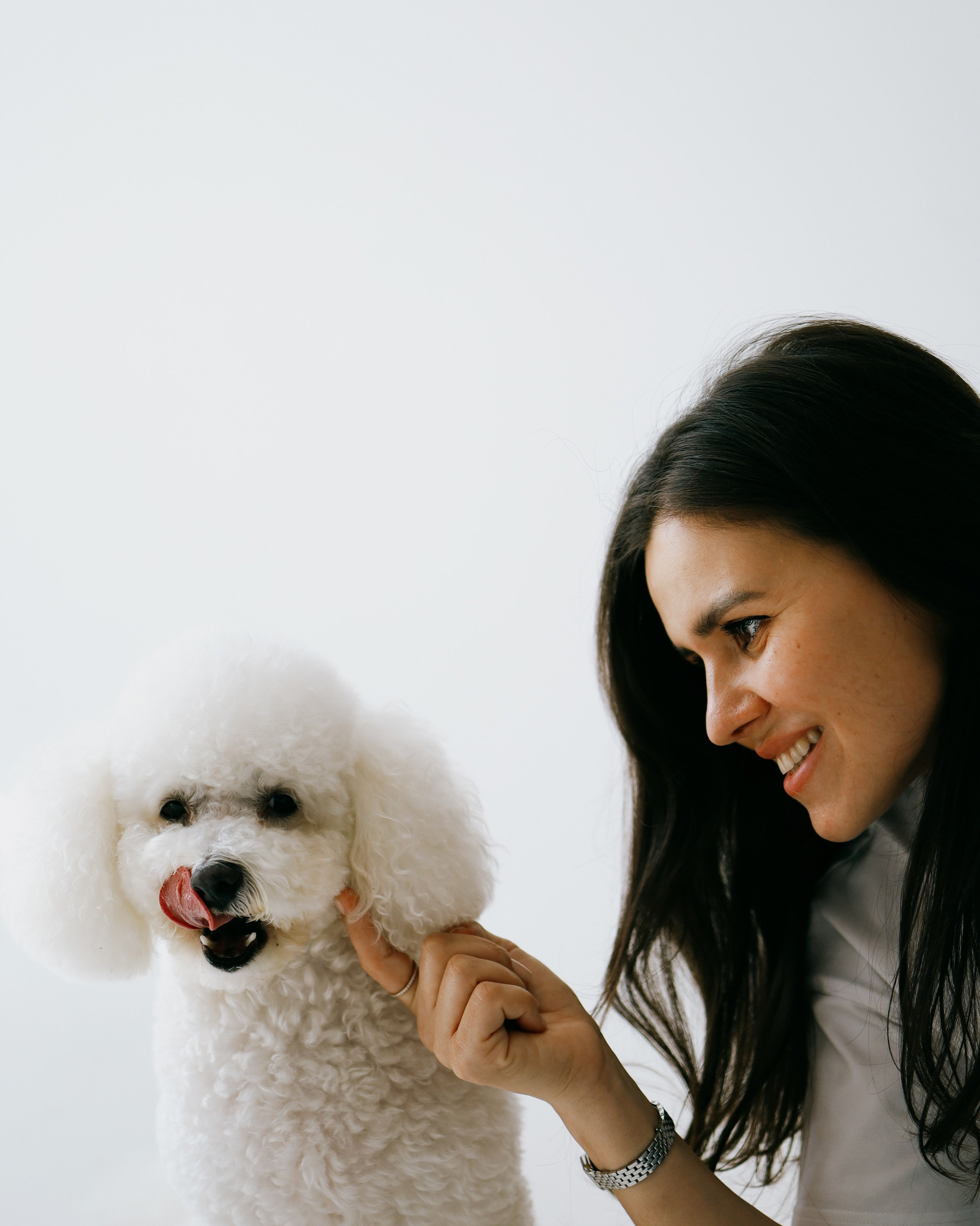 С хвостиками. Портретный фотограф в Москве. Фотосессии с собаками