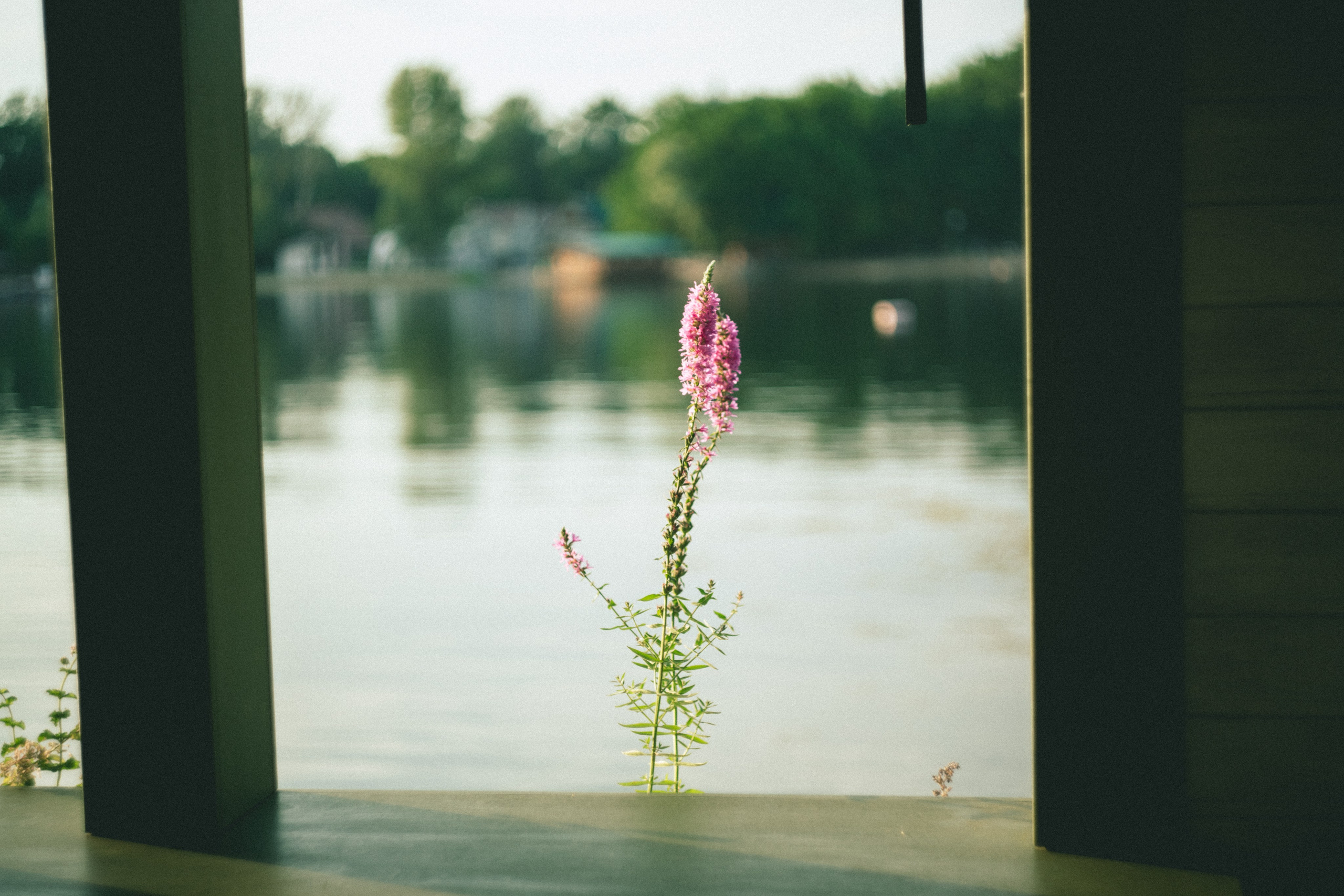 День фотографа, 15.07.25. Портретный и семейный фотограф Наталия Гаврилина, Саратов — Москва