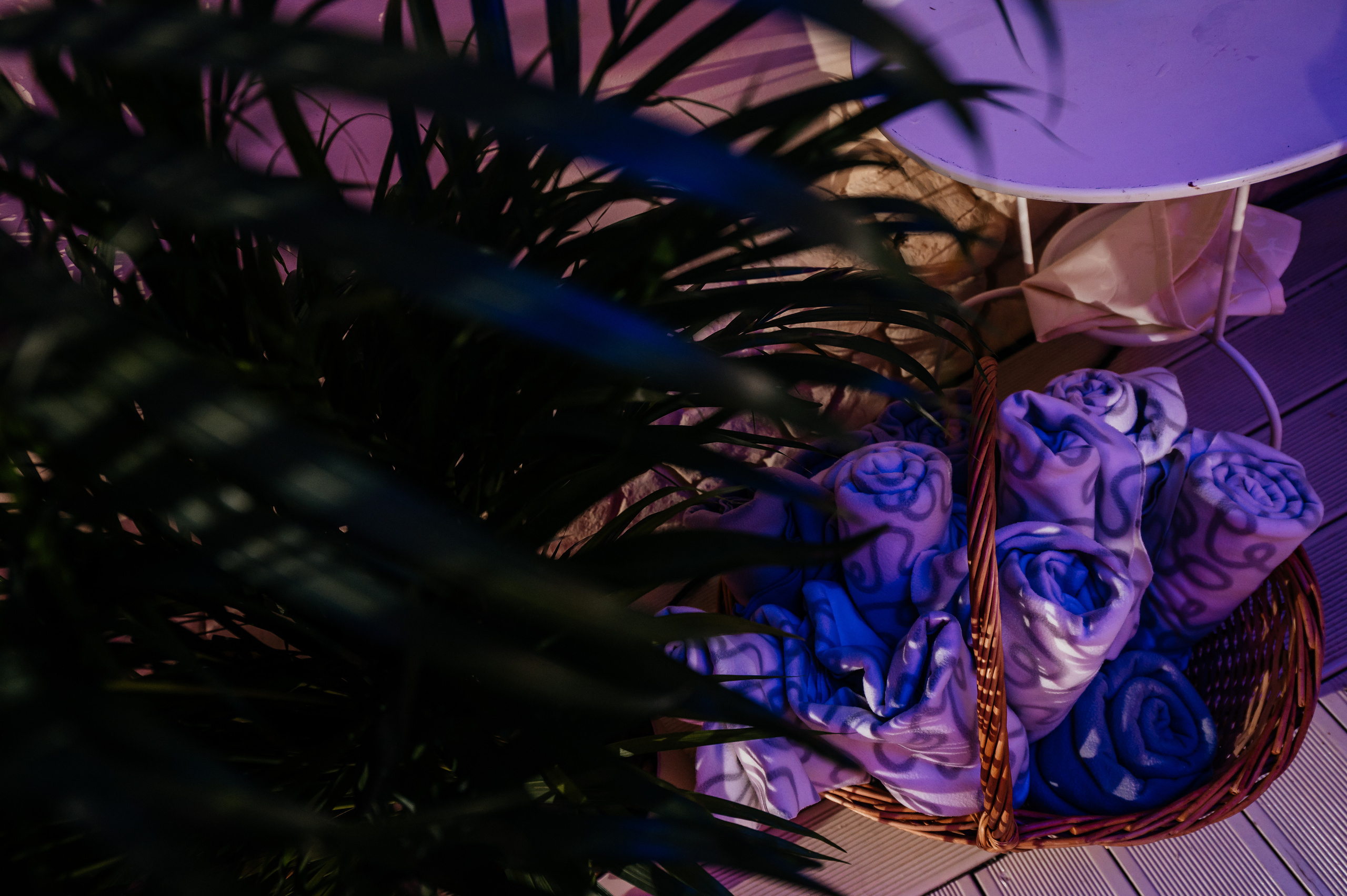 Аркобалено, корпоратив. Свадебный и семейный фотограф Виктория Носачёва. Щелково, Москва и МО