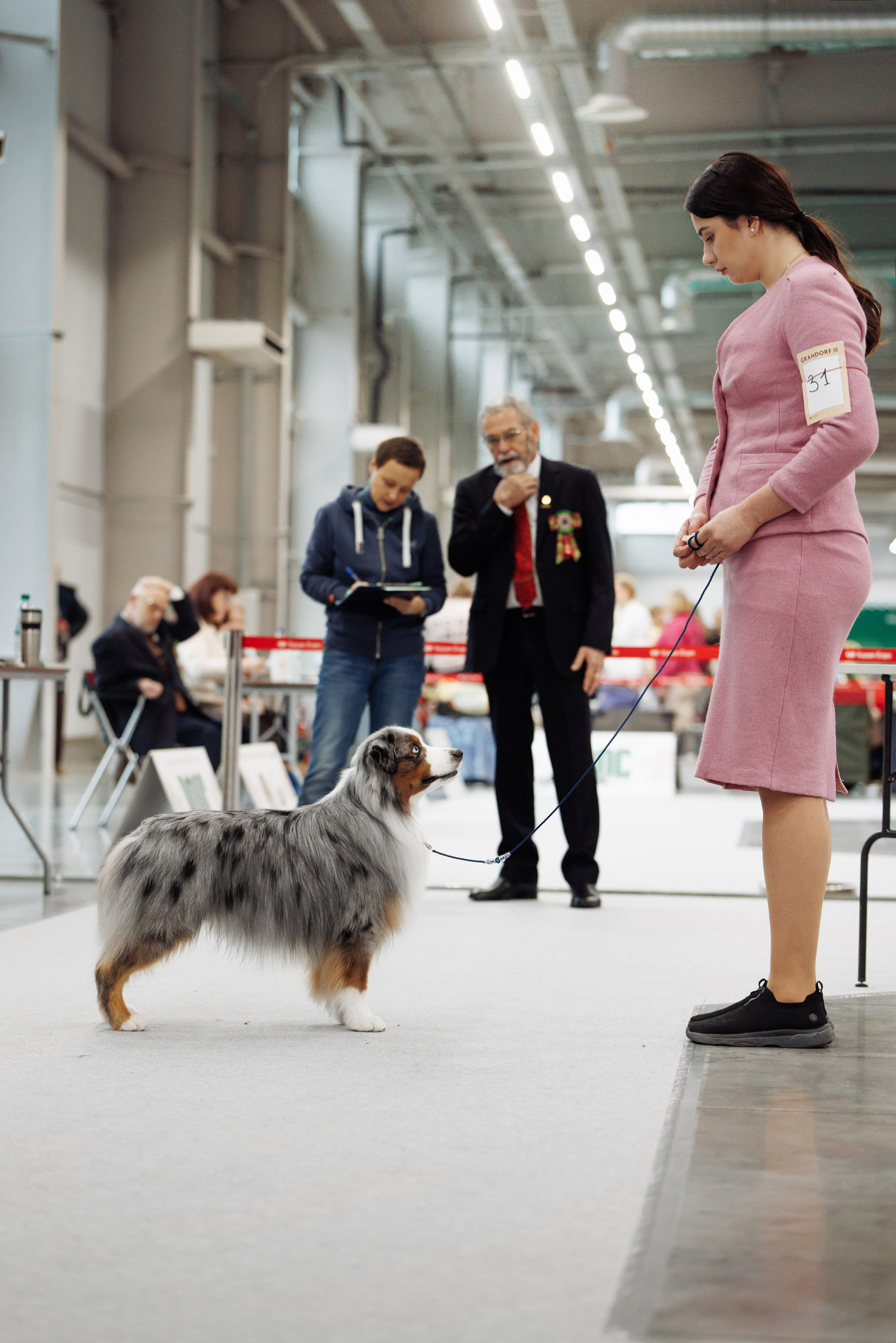 29-30.11.2025 — Казань «Зилант». Фотограф-анималист Саша Вязьмина