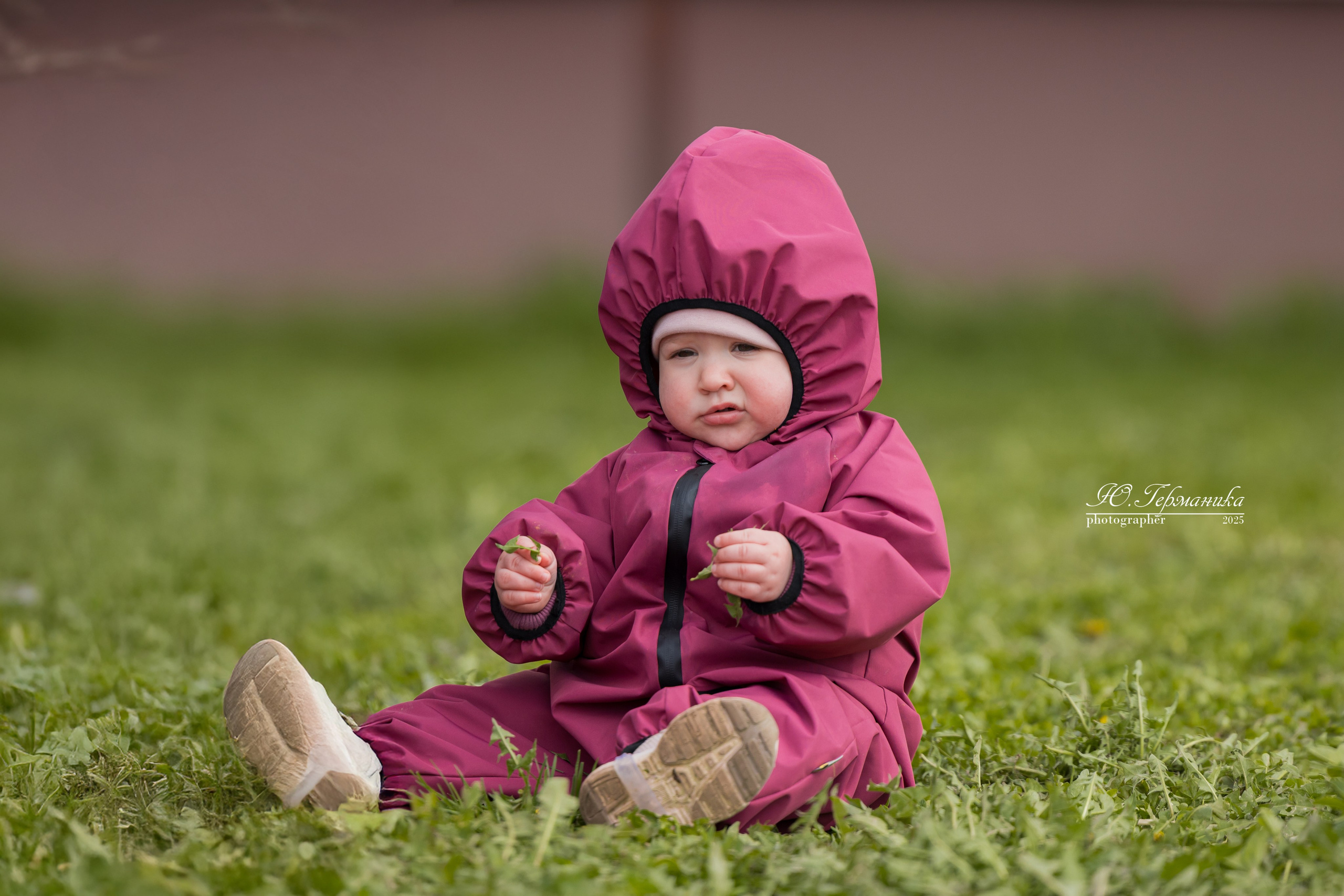 Нижний Новгород 2хмоно ротвейлеров 10-11.05.2025. Фотограф-анималист Юлия Германика
