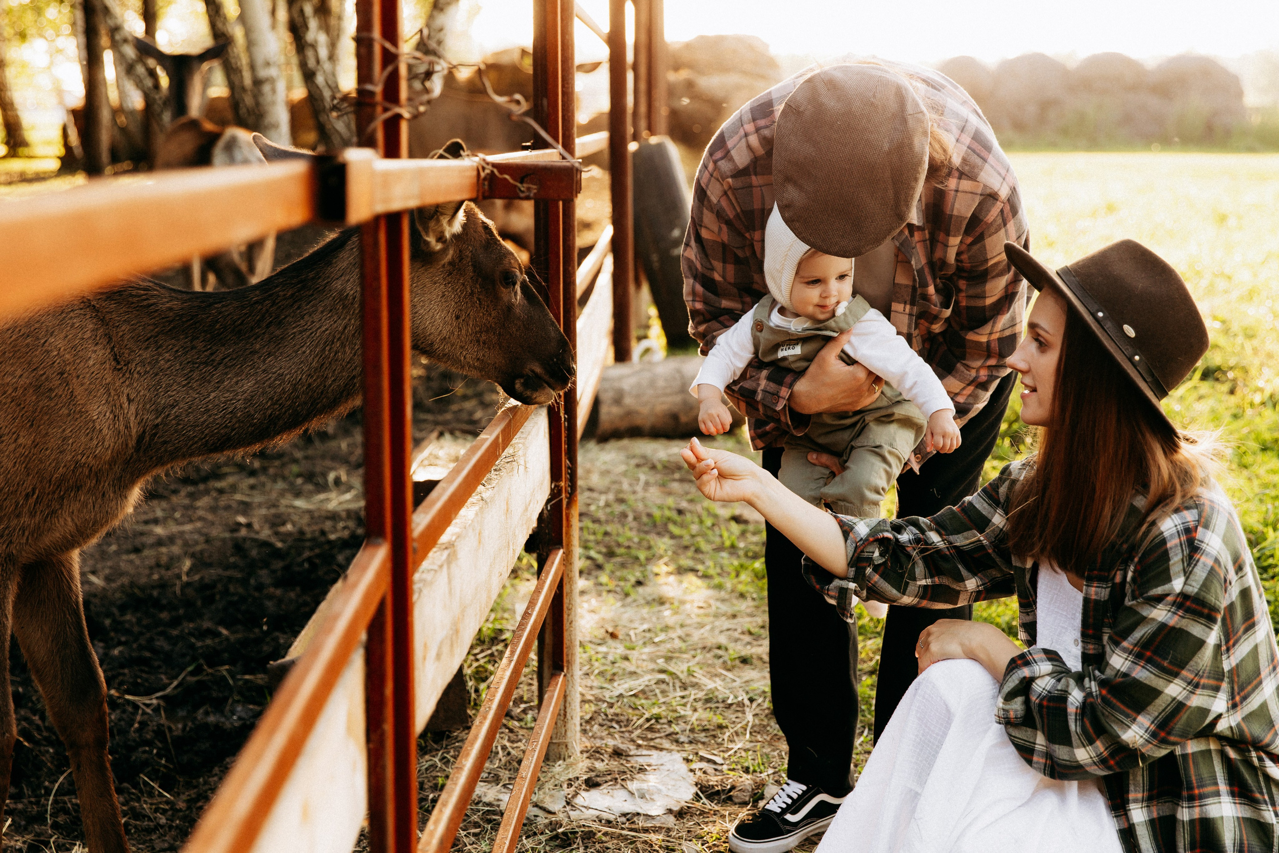 Ранчо. Главная