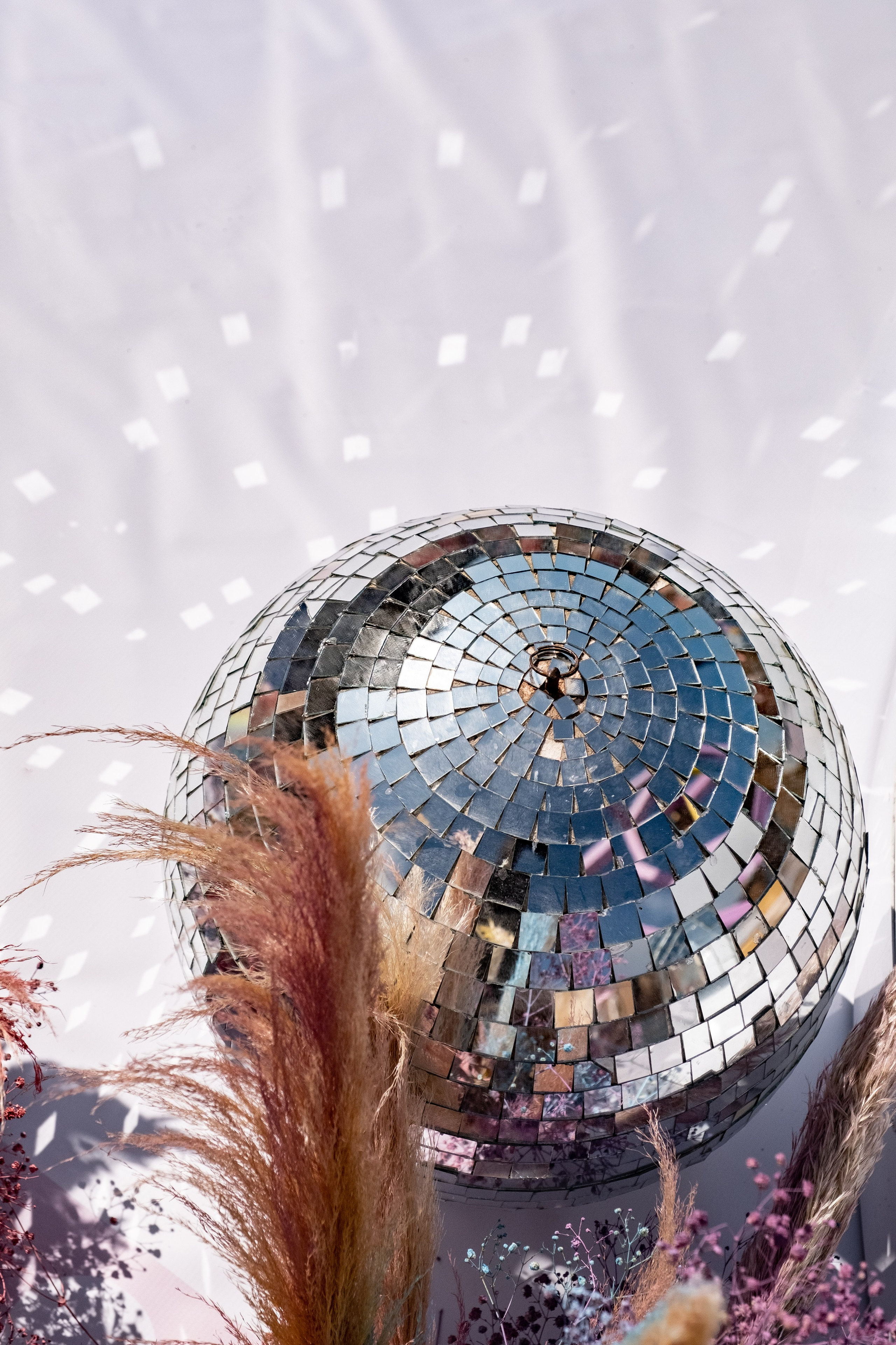 Фестиваль чувств. Свадебный Видеограф Фотограф в Сочи