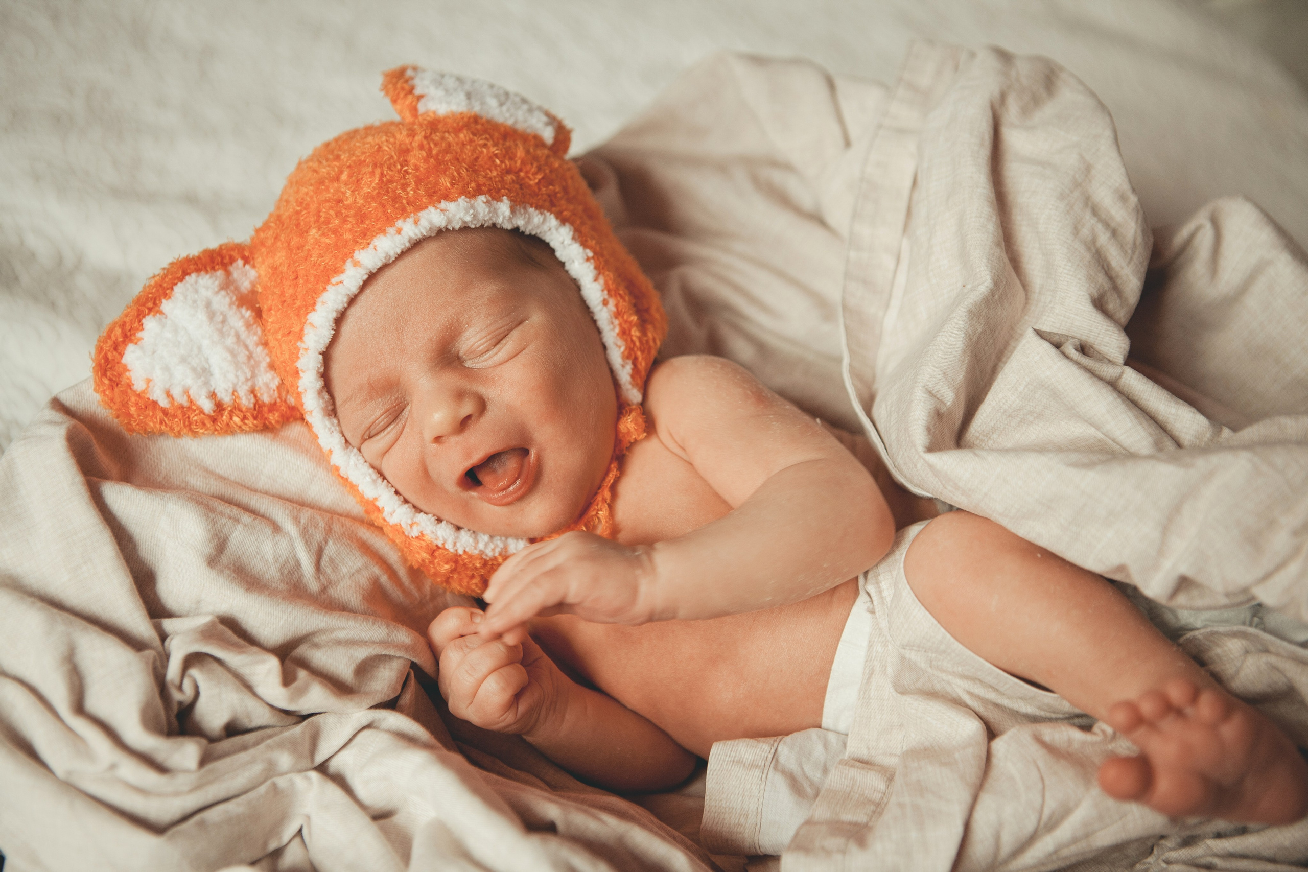 Гордей. Фотограф Ольга Ефремова