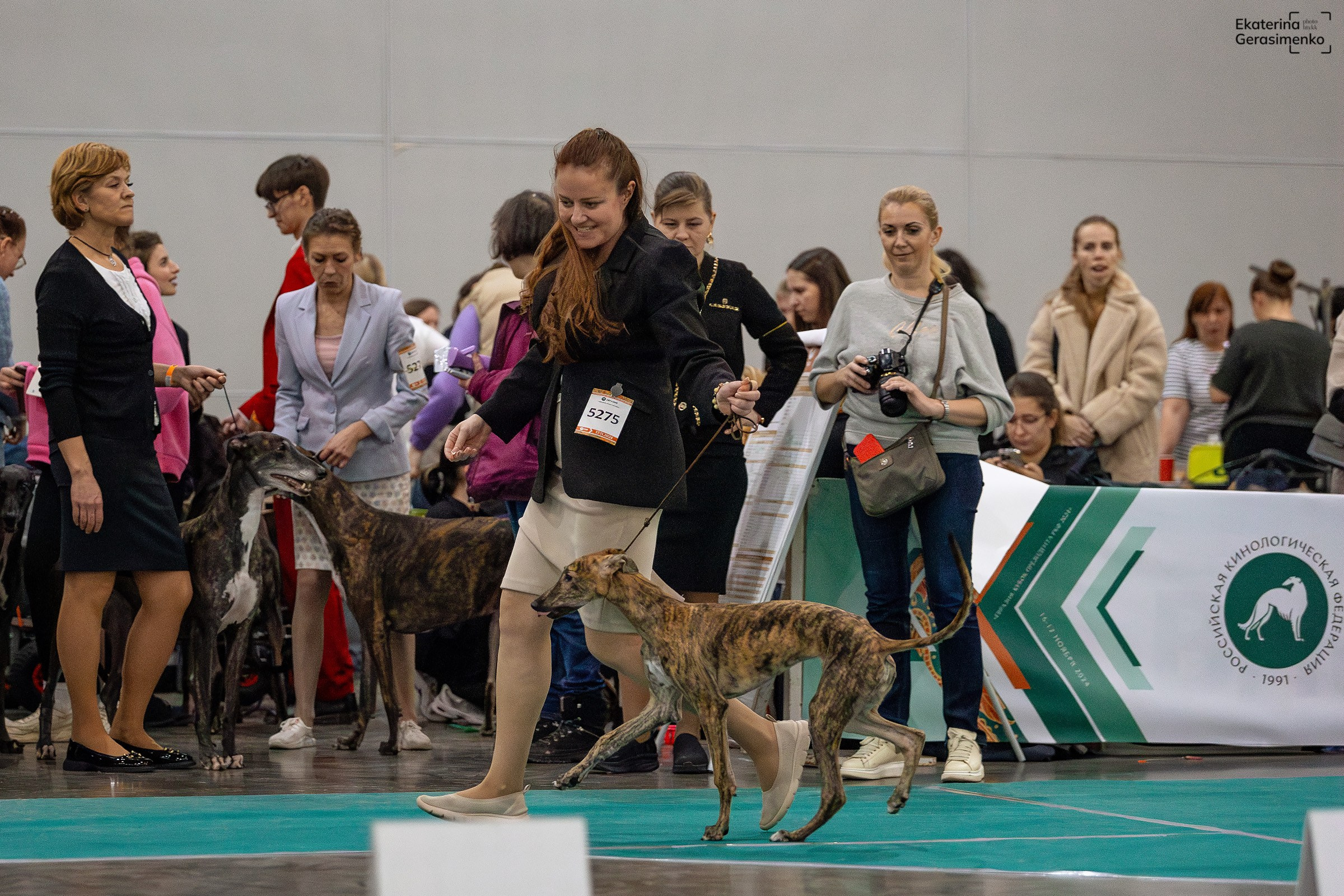 16–17 ноября 2024, Выставка ЕВРАЗИЯ, г. Москва. Htykk_photo