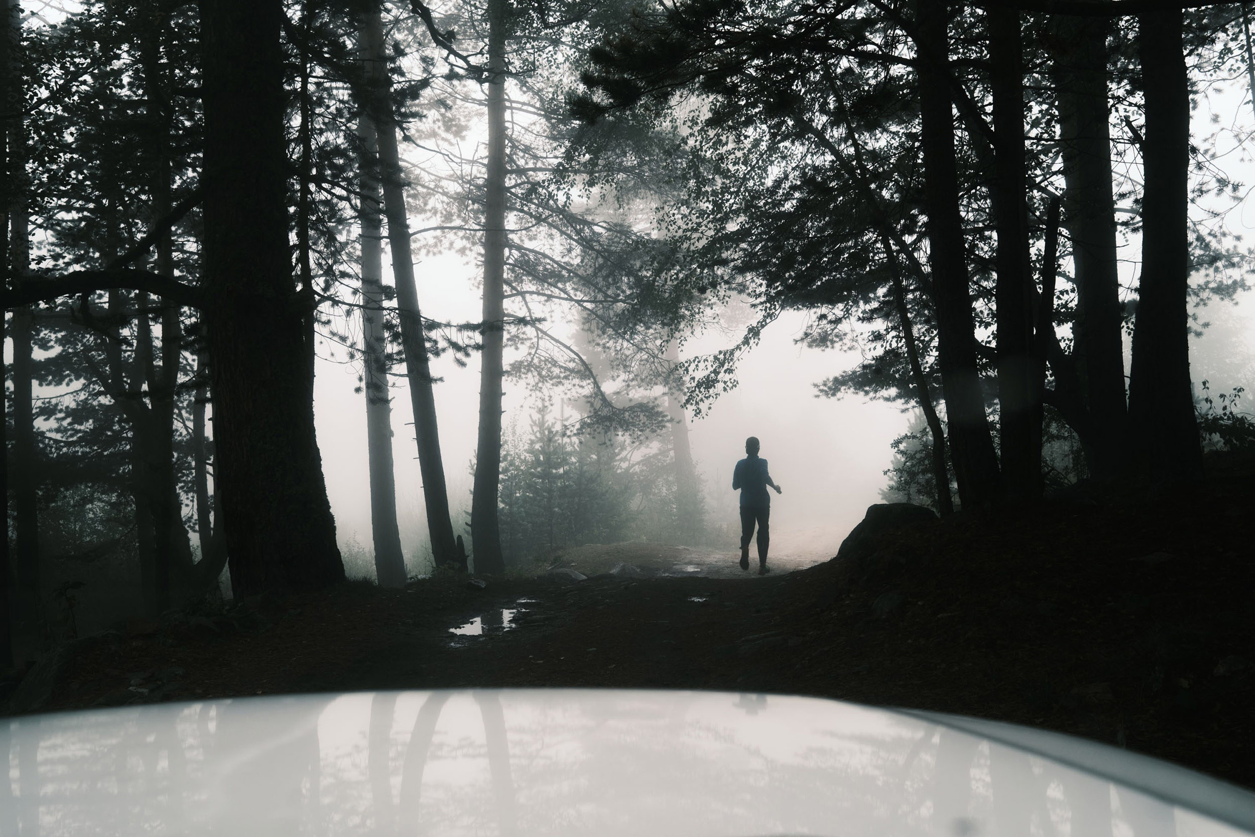 Фотограф Лука Бутомо