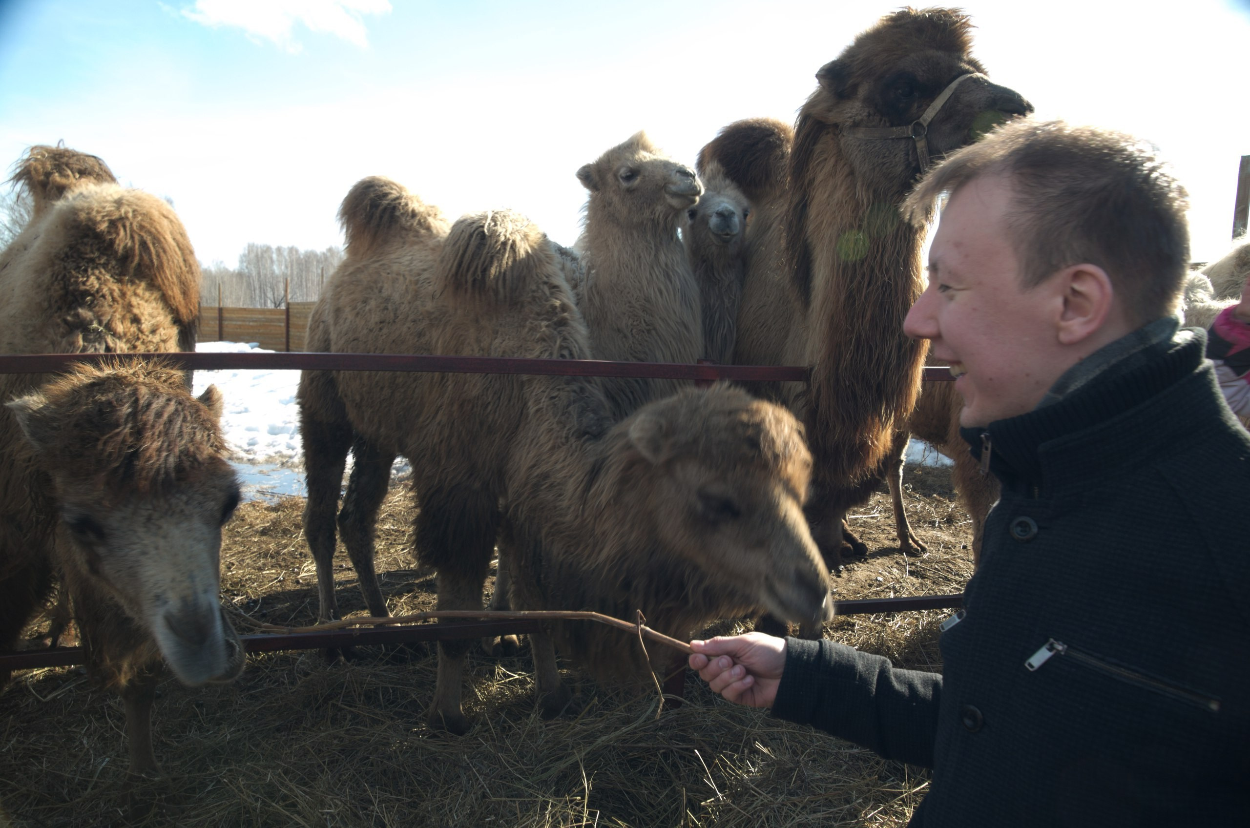 Казань | 24-26.03.2017. Галерея Фантим
