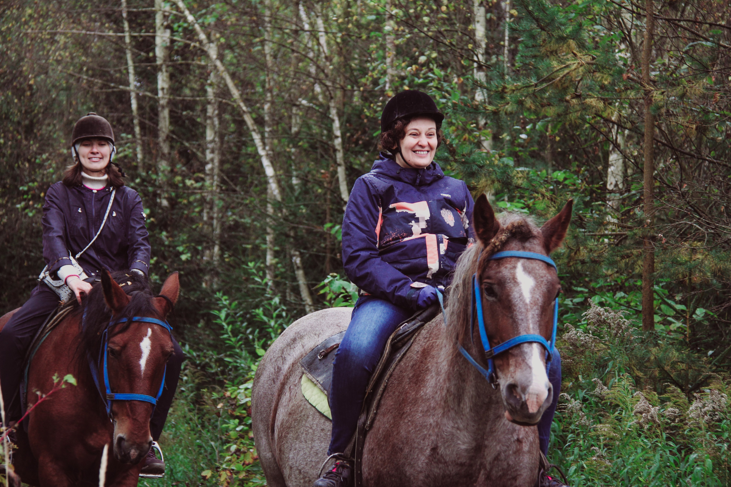 Лошадинг | 27.09.2025. Галерея Фантим