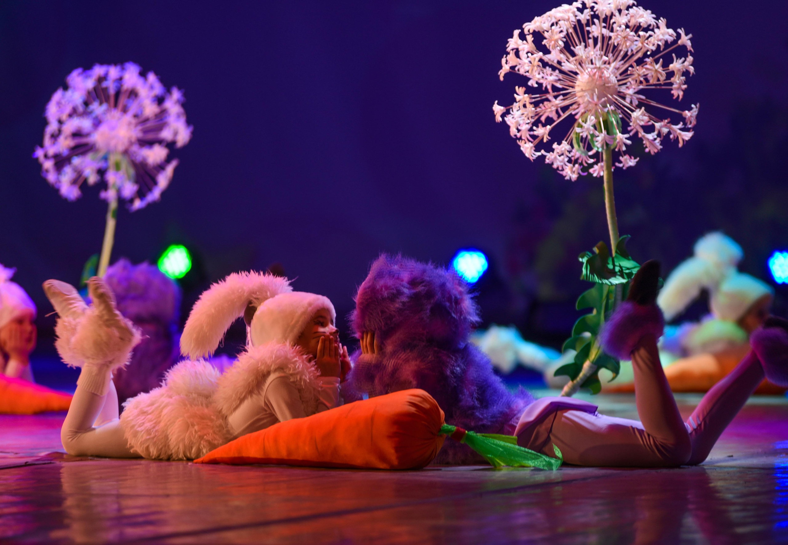 Концерты, фестивали. Фотограф в Санкт-Петербурге