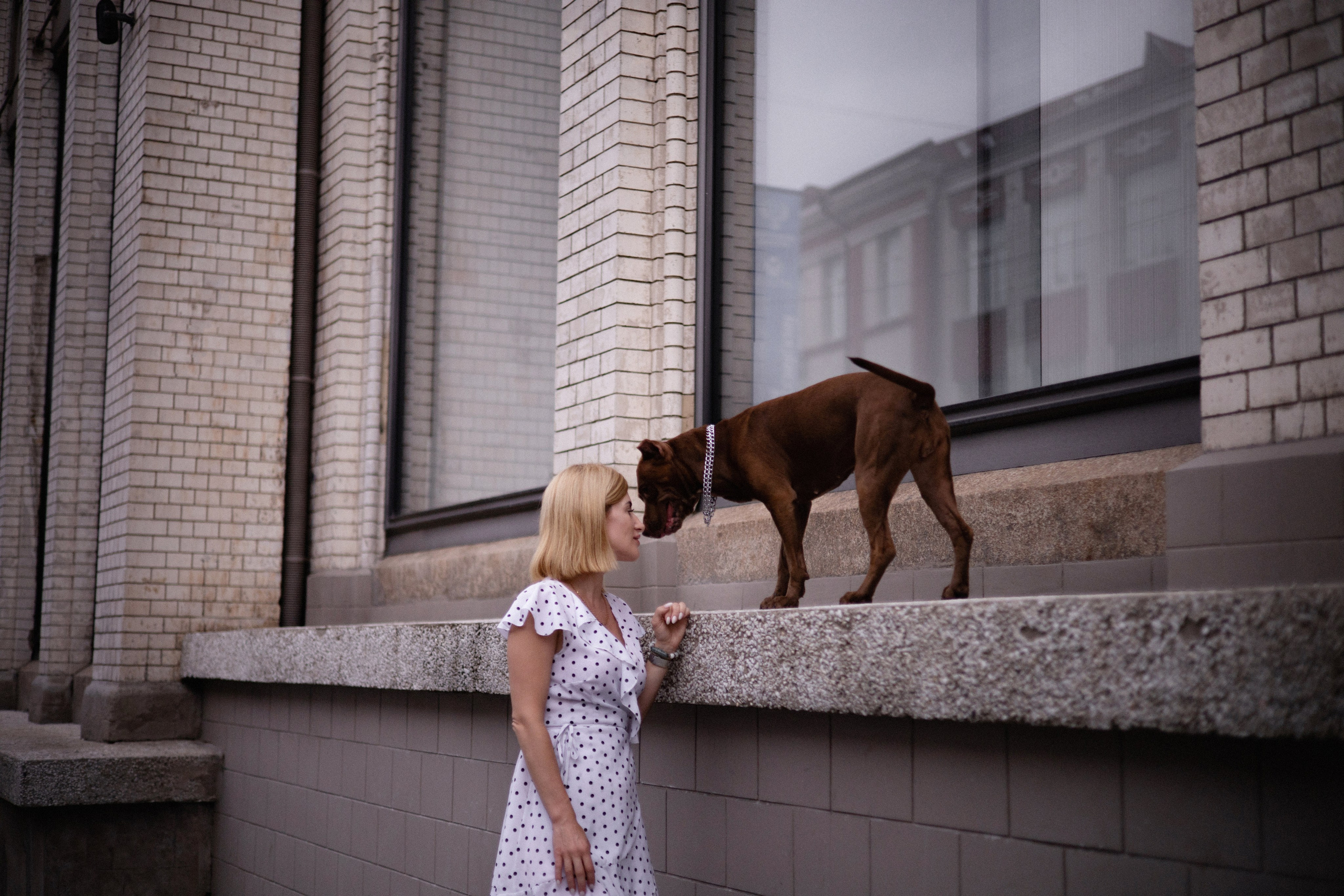 Оля и герда. Фотограф — анималист Владивосток, Алина