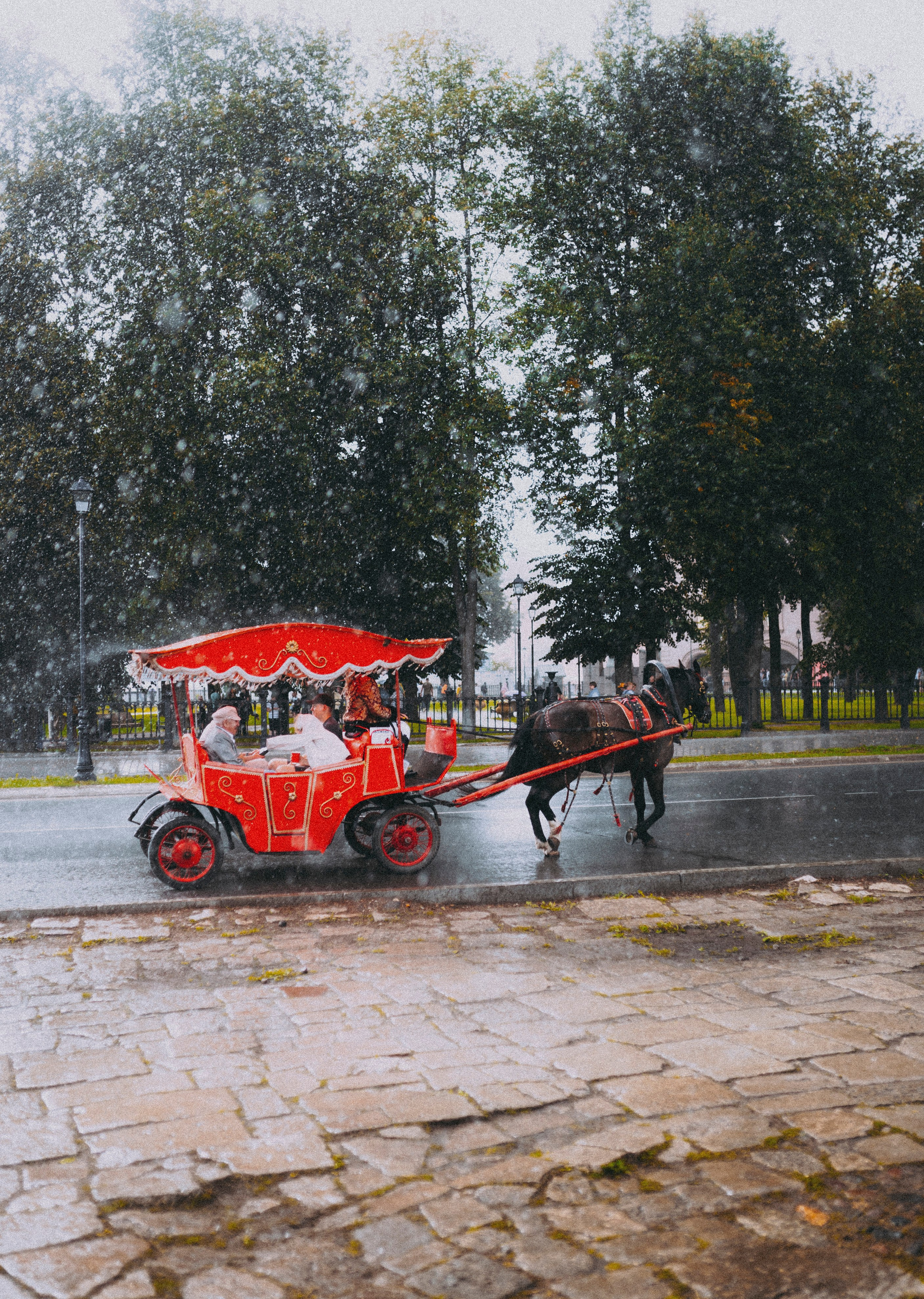 2024. Стрит-фотография, полная абсурда, идиотизма и красоты