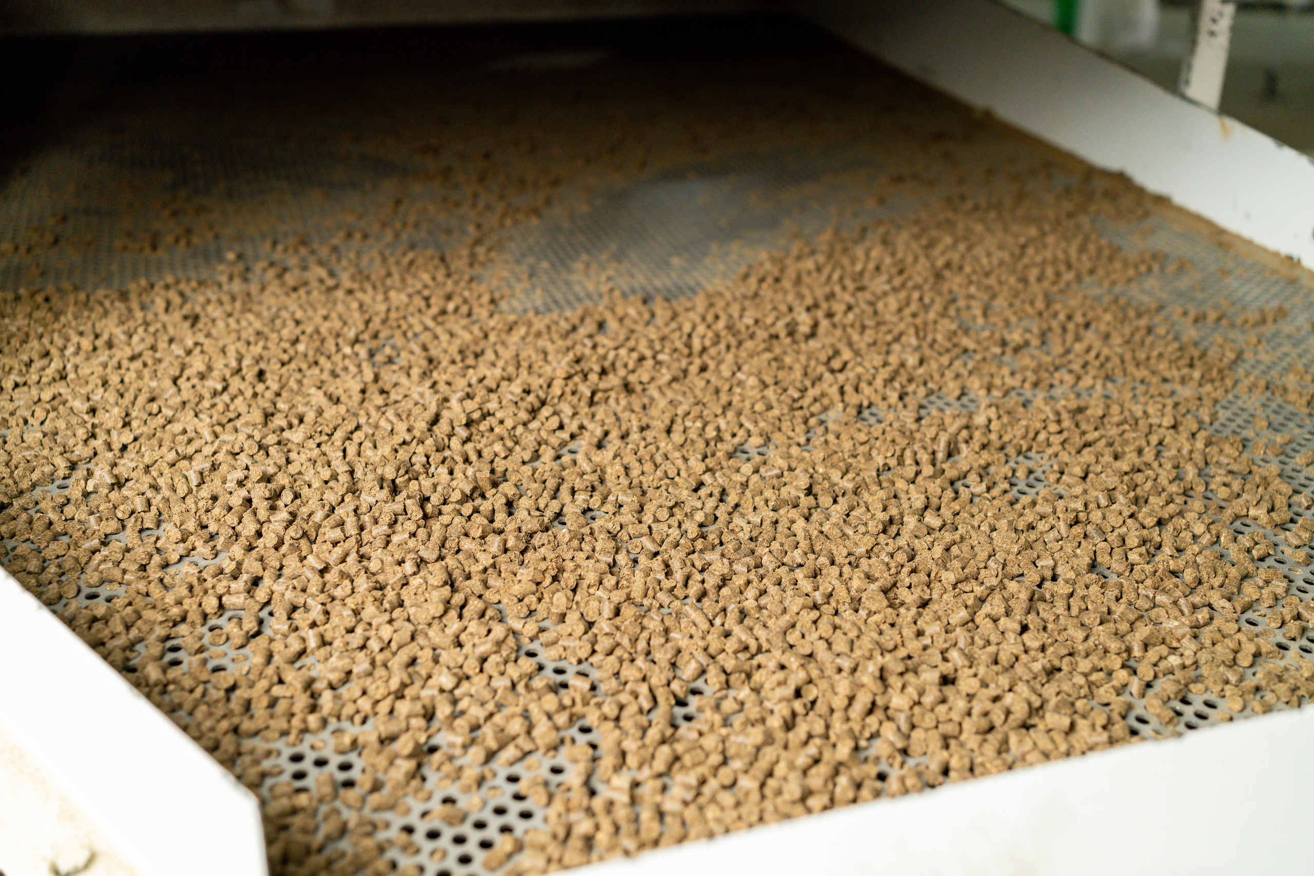 «АКВАГРАНУЛА» — завод по производству кормов для рыбы и всех видов животных 