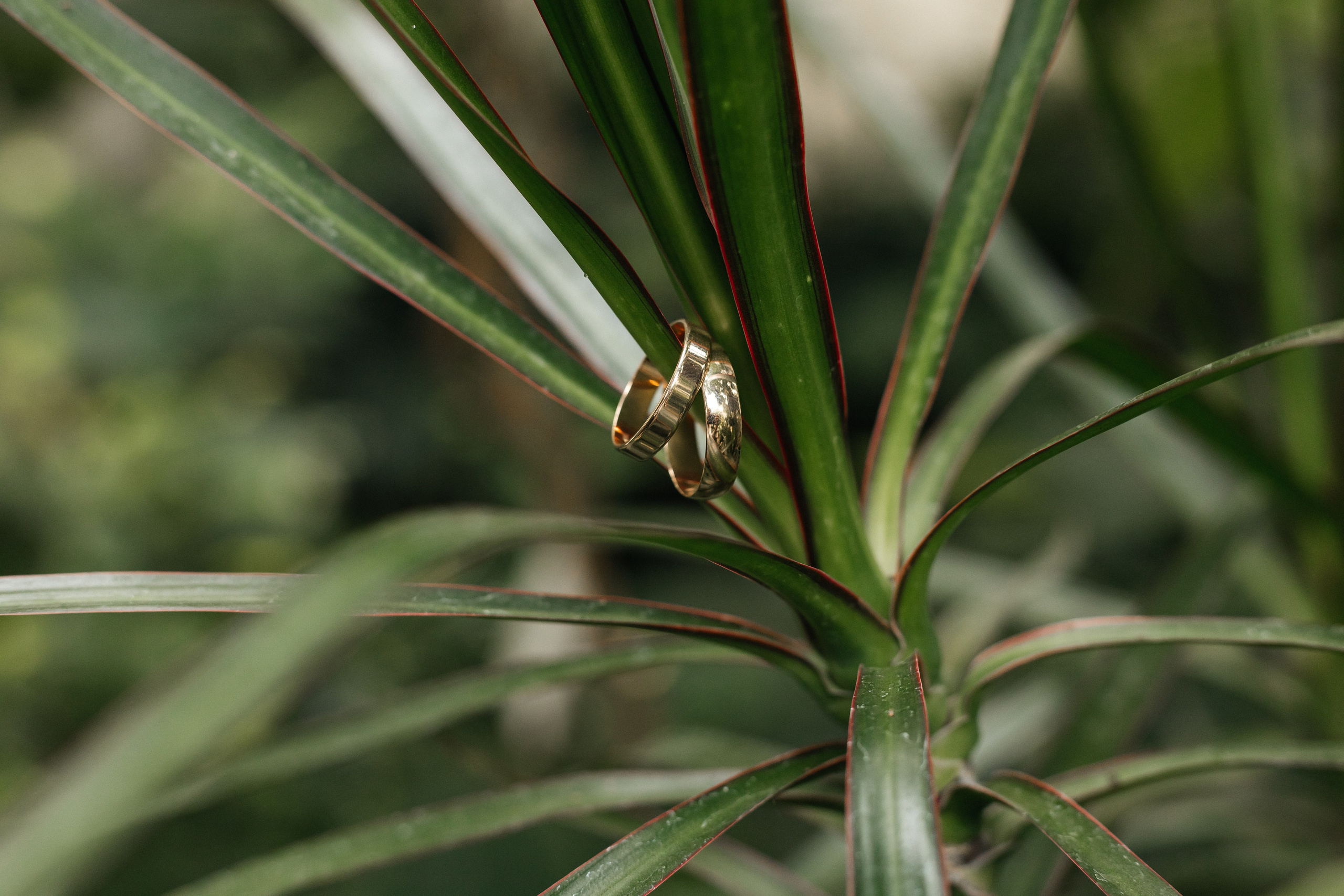 Яна и Сергей. Свадебный и Семейный фотограф Свекрова Ольга