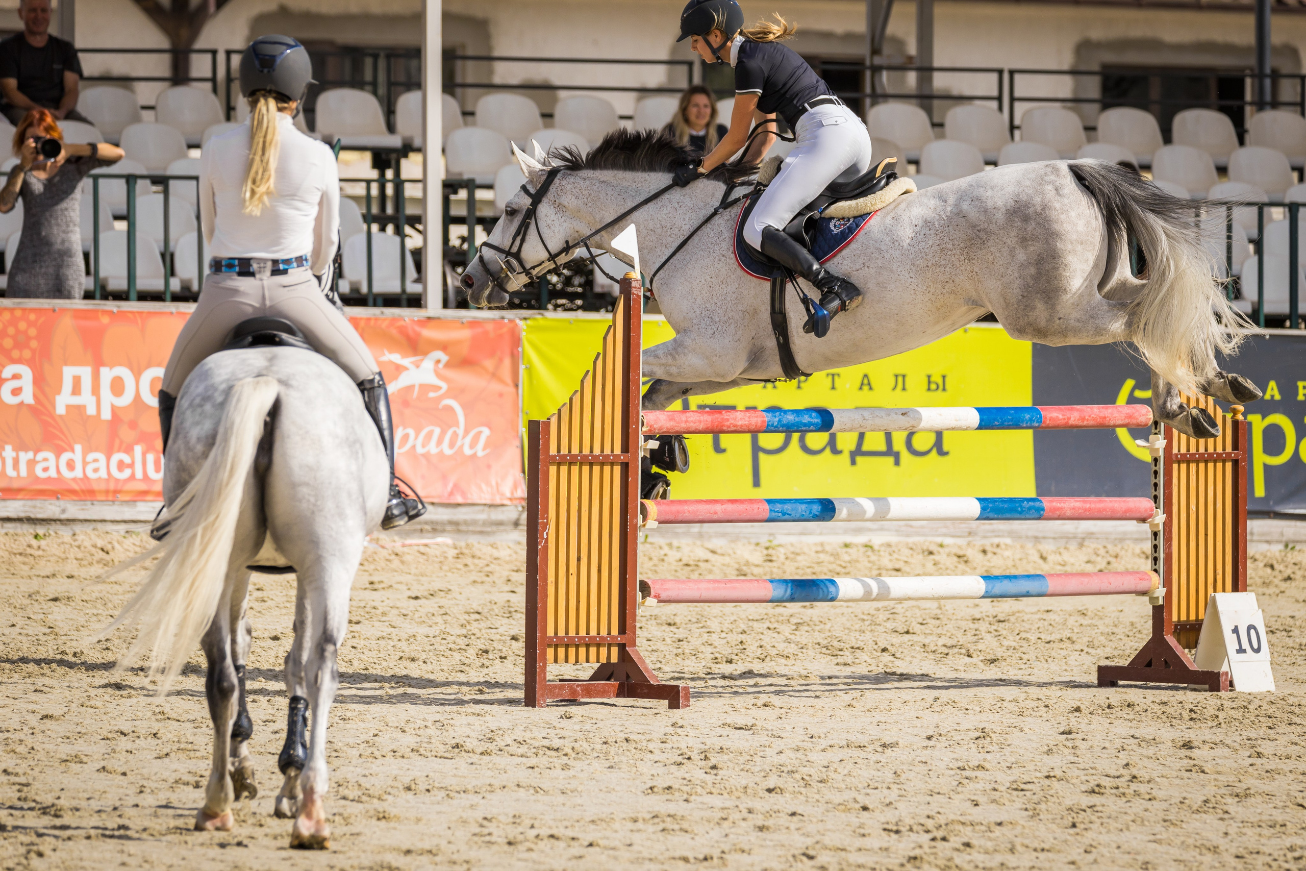 Конный спорт. Photomantis