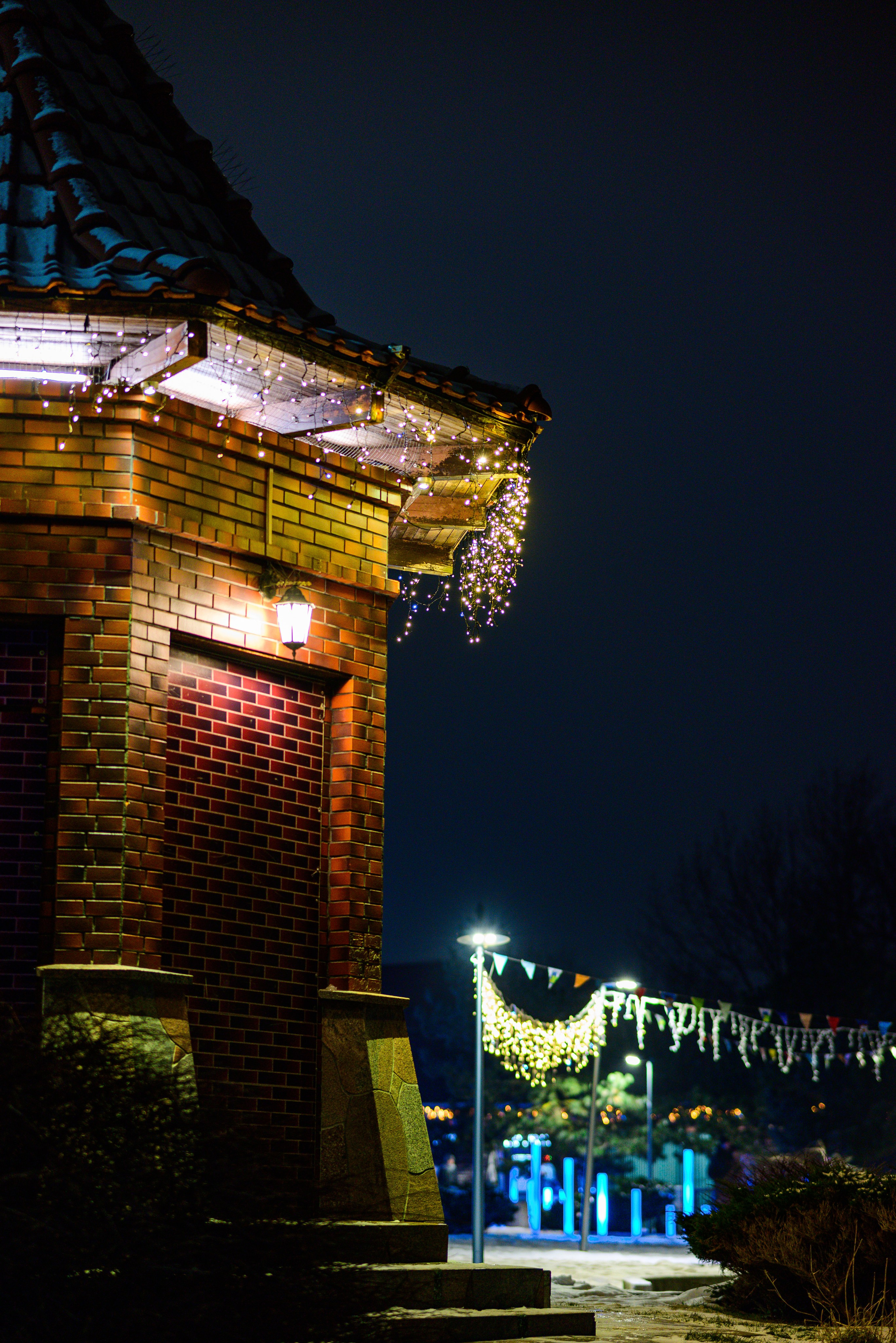 Зимняя Калининградская область. Фотосъемка и видеосъемка в Калининграде Liveemotion.pro