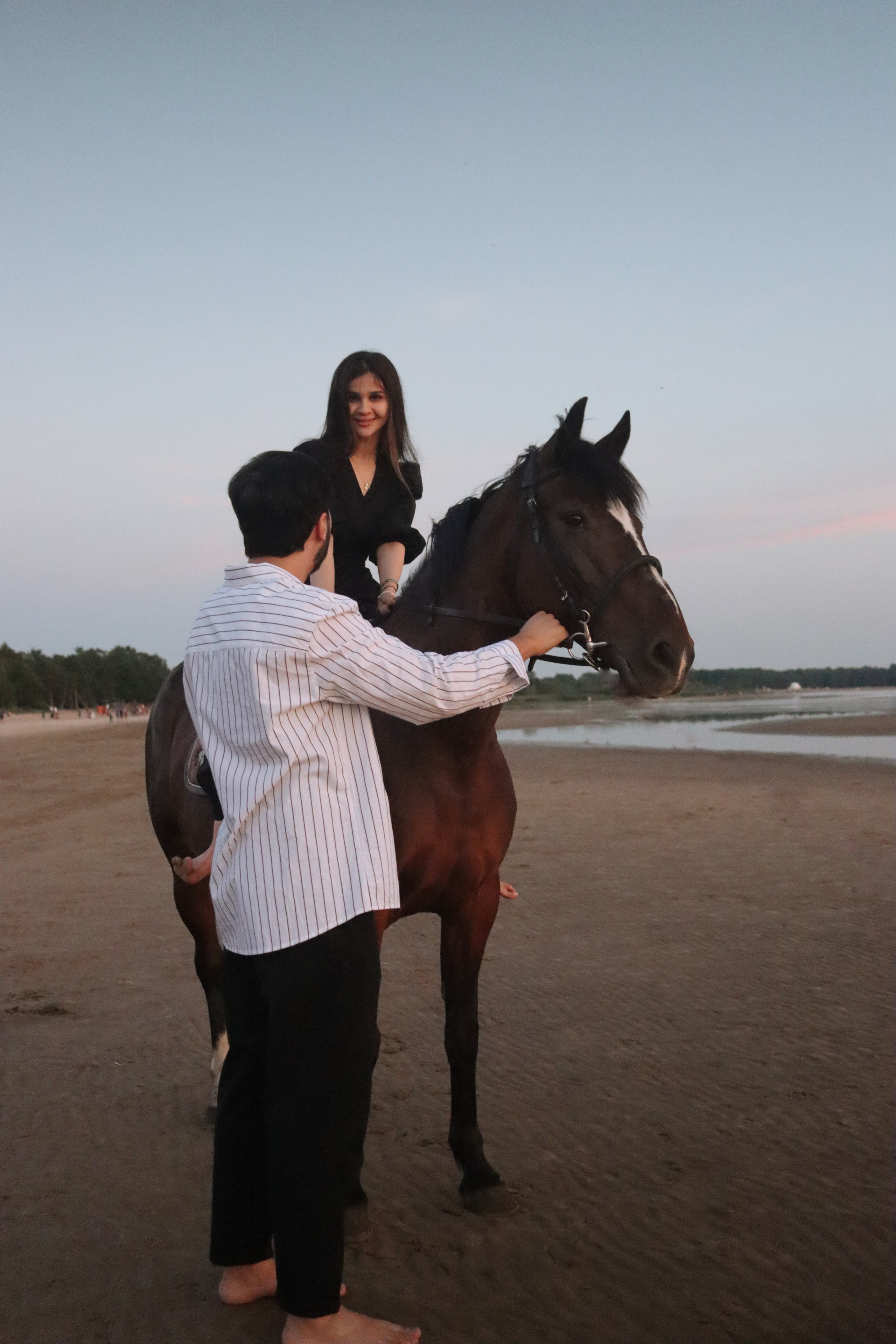 Love story с лошадьми